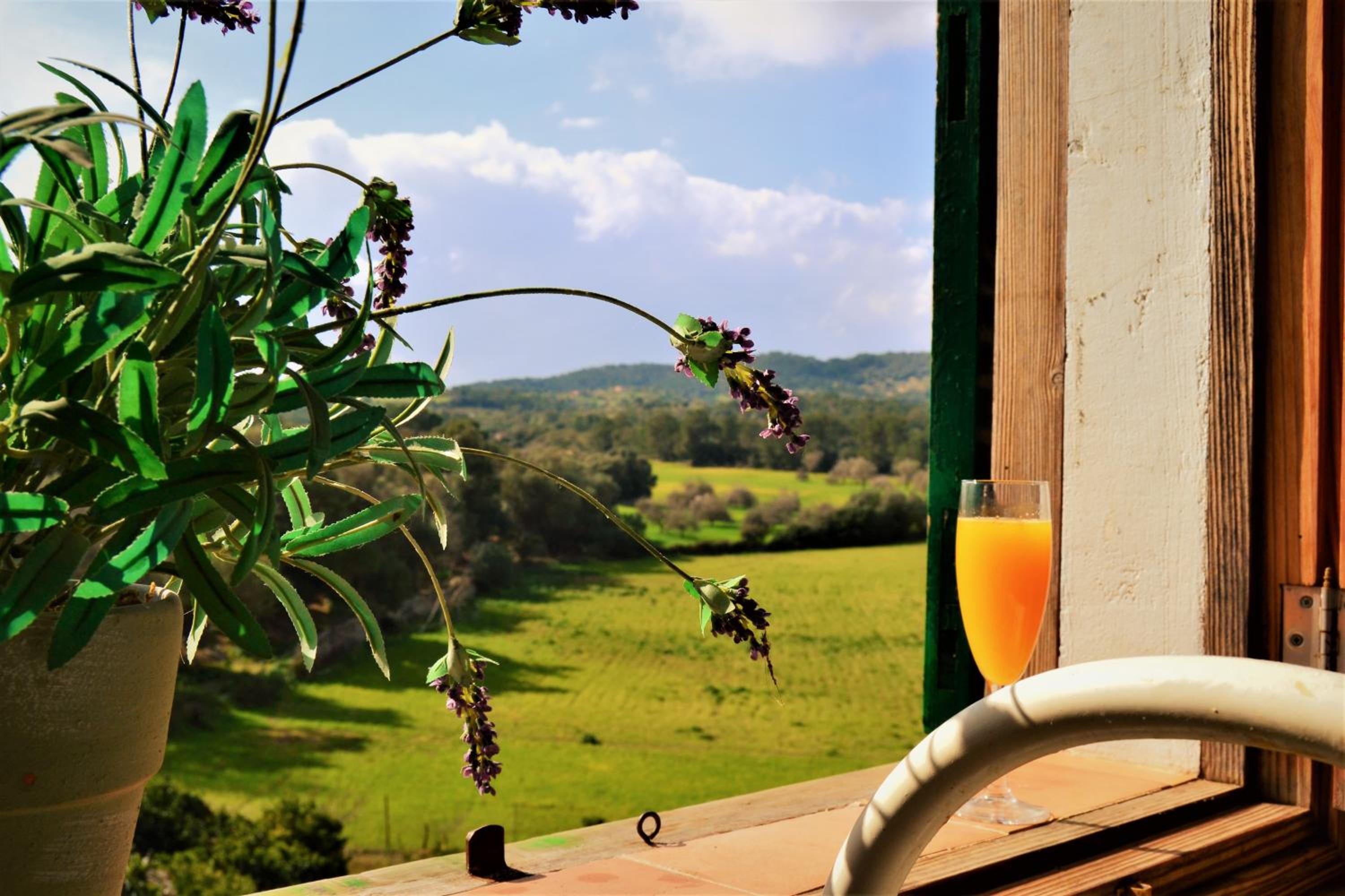 Agroturismo Son Sant Andreu