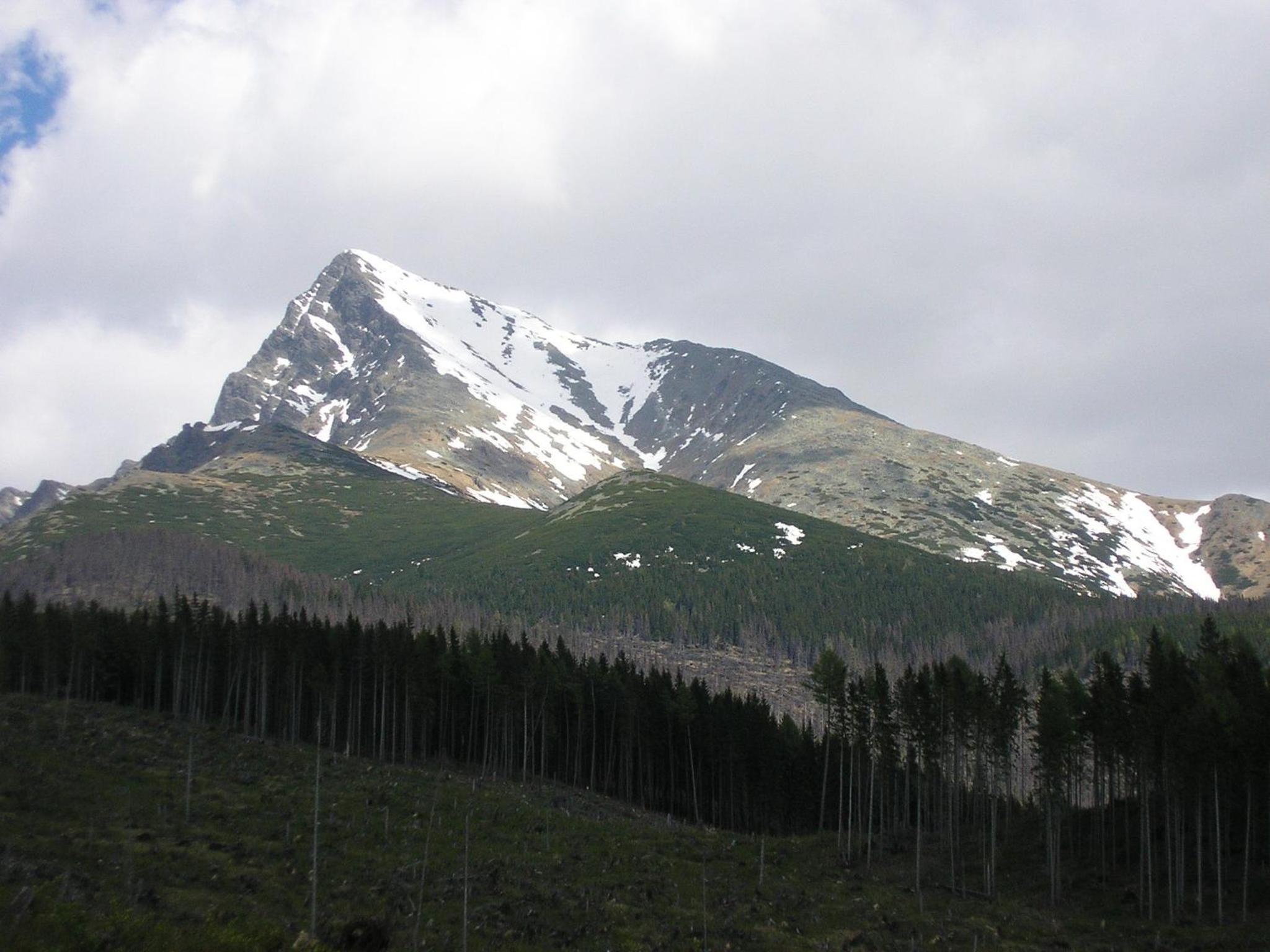 Photo 35
