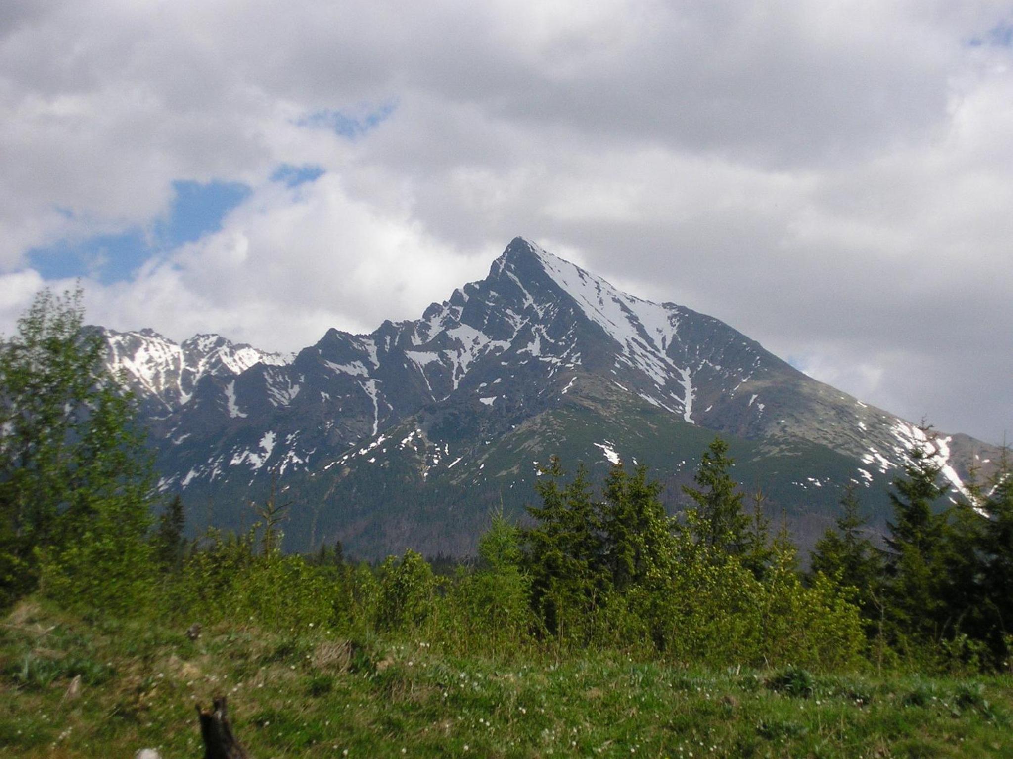 Photo 32