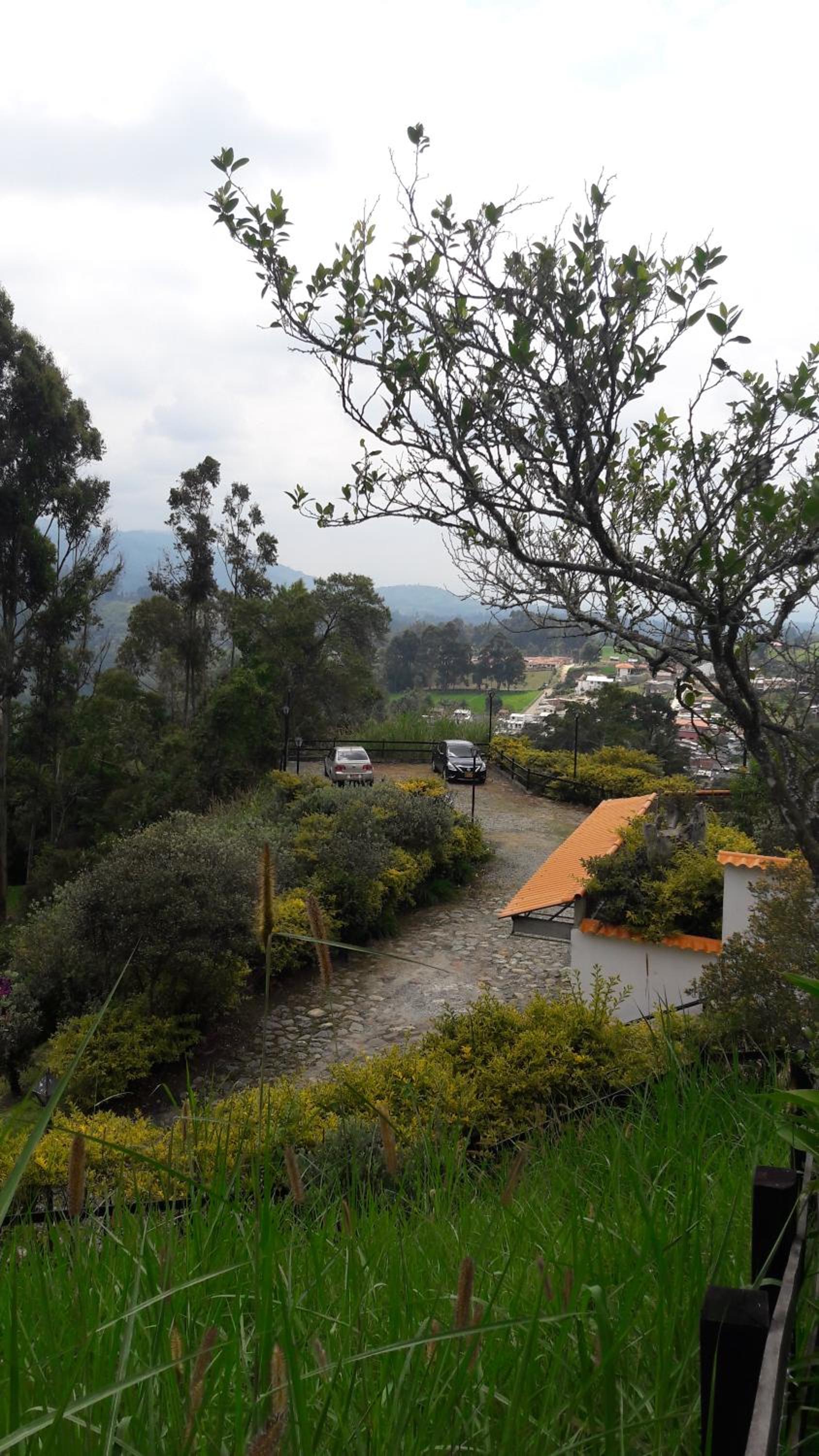 Finca Cardonales
