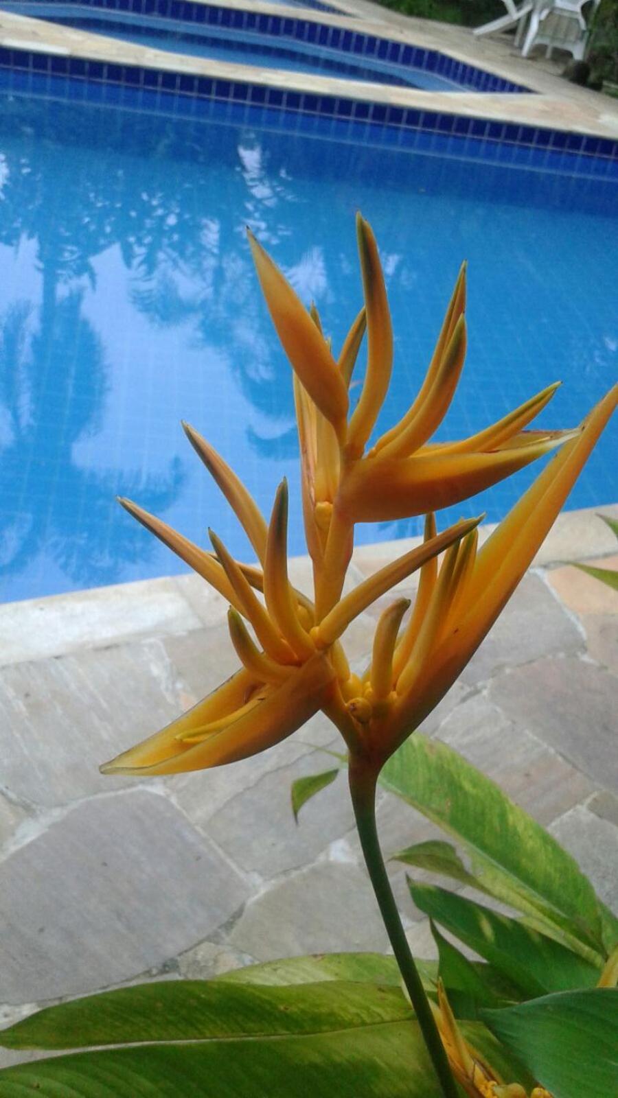 Vila dos Tupinambás