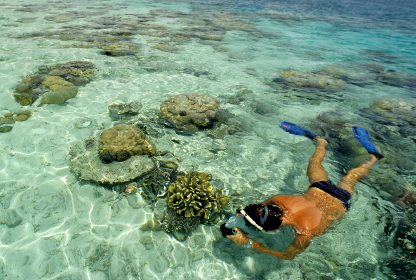 Savasi Island Resort