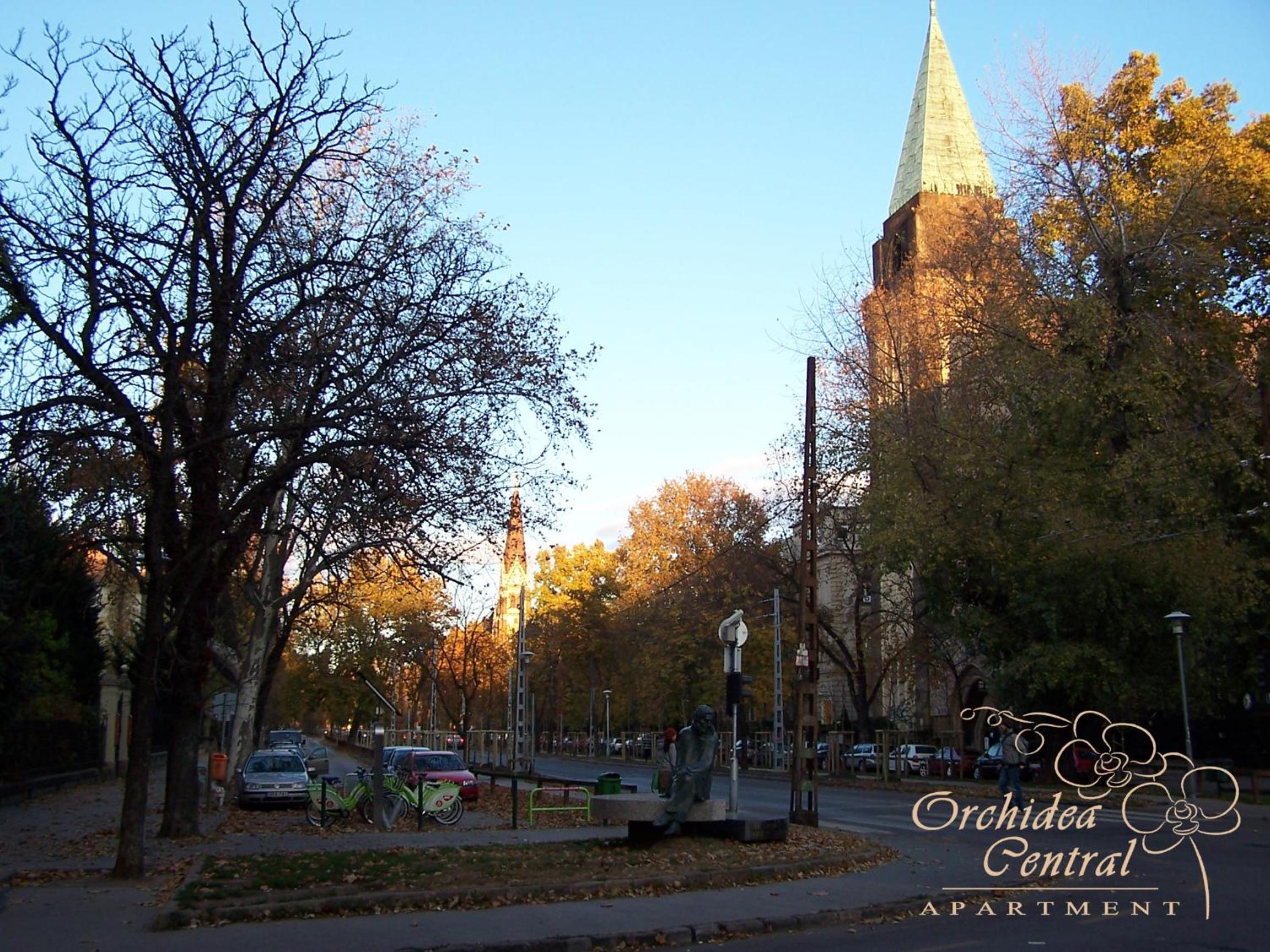 Photo 30