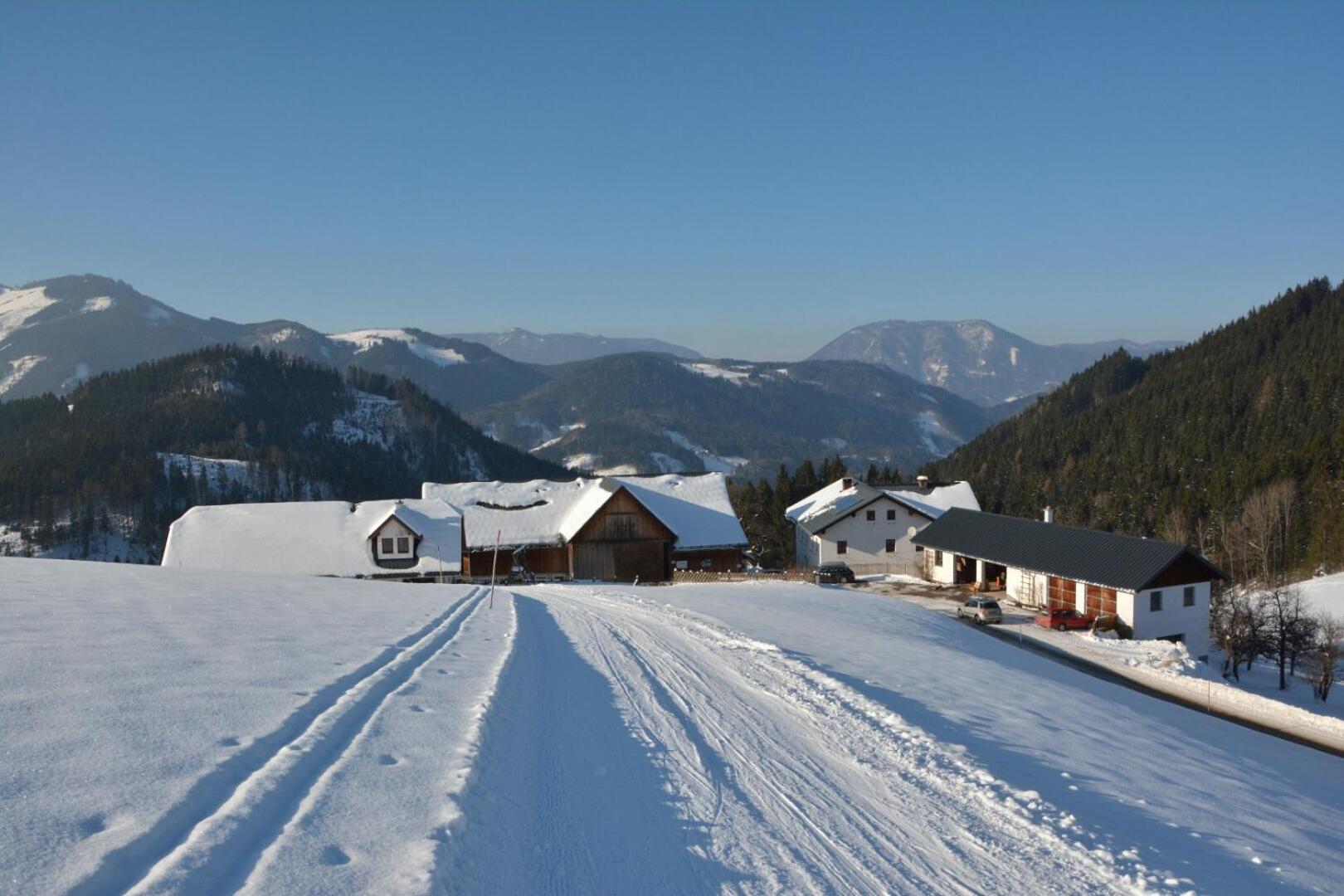 Klein Schöntal