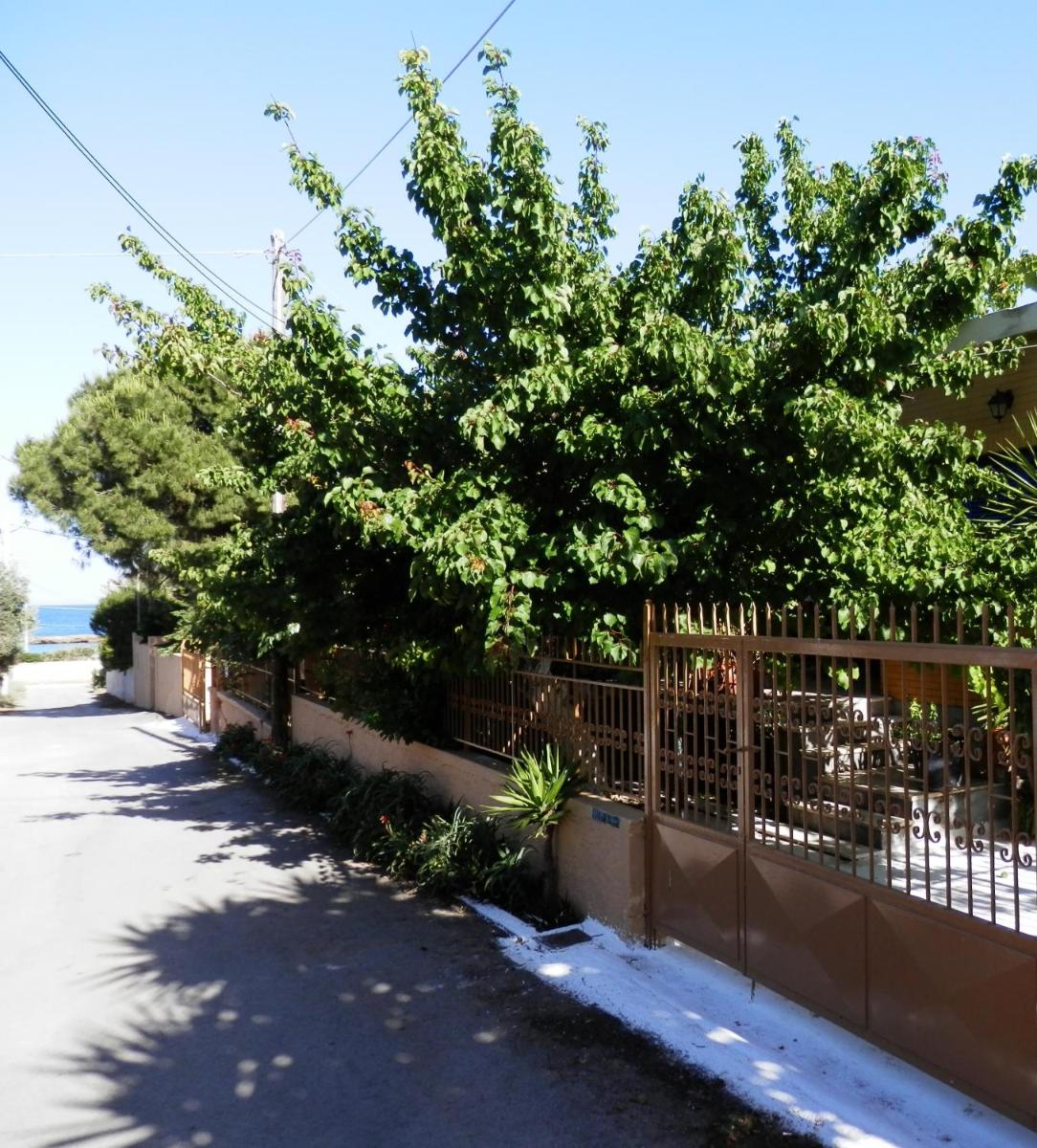 Jordi view 3