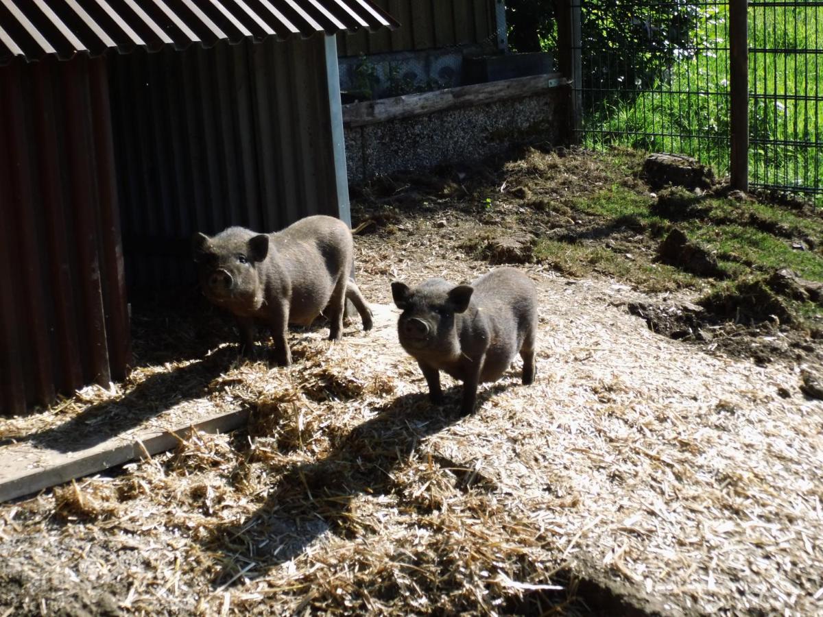 Pension Hesse
