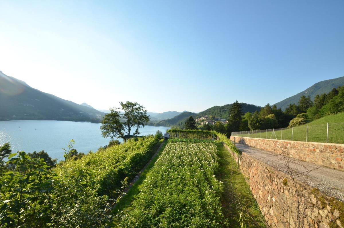 Trentino Appartamenti Oss photo 3