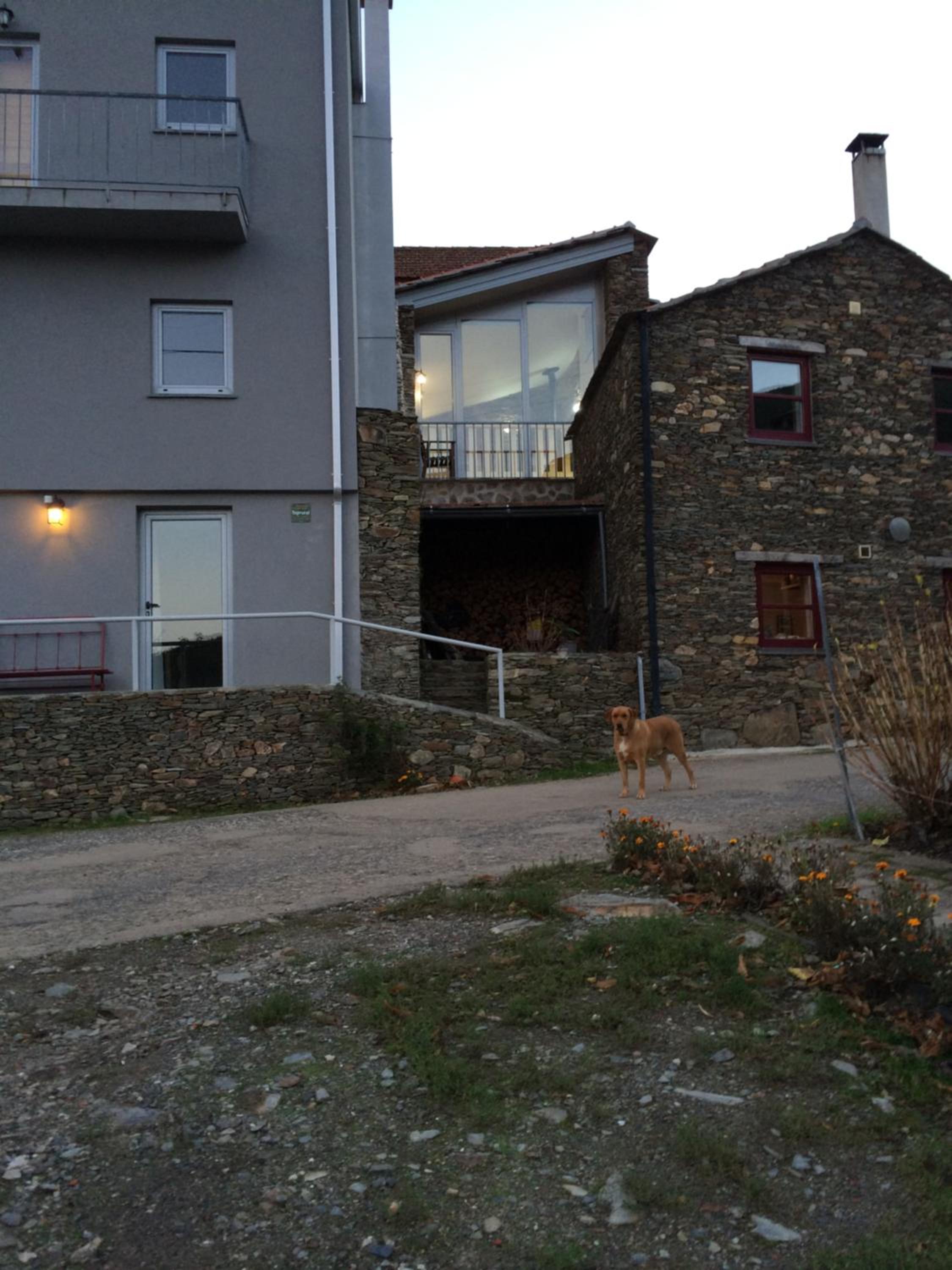 Photo 41