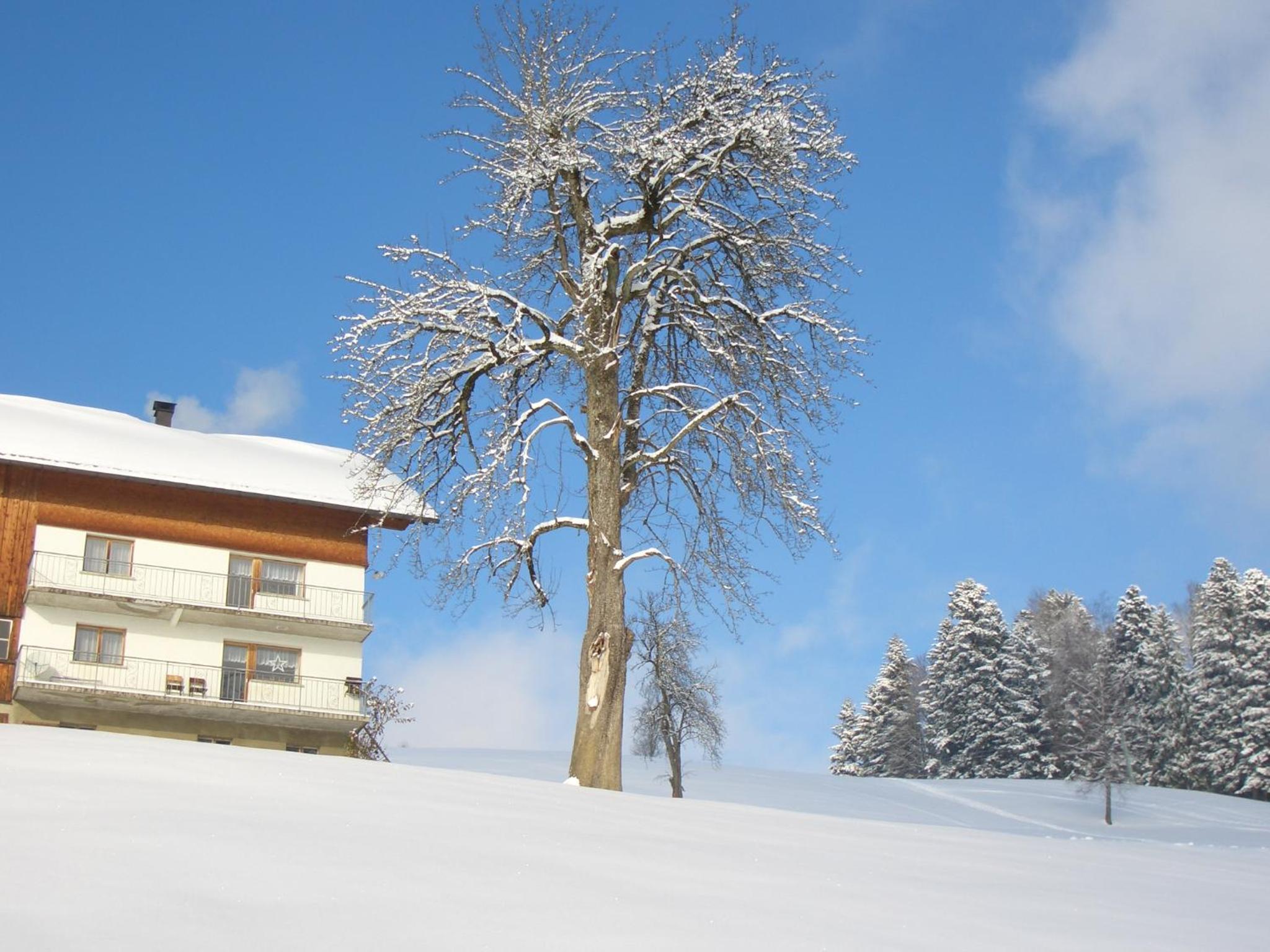 Ferienwohnung Panorama