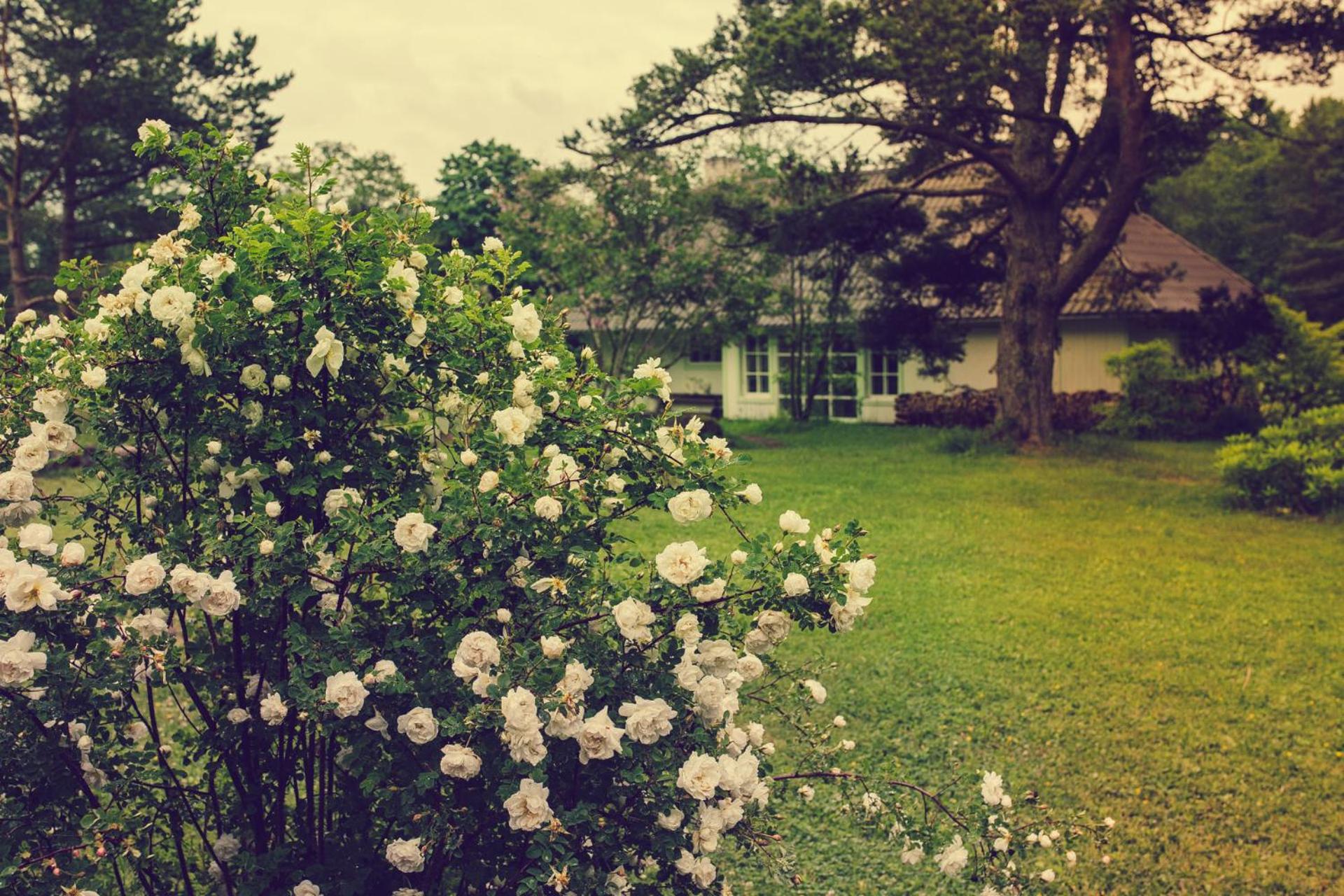 Adami Country Guesthouse