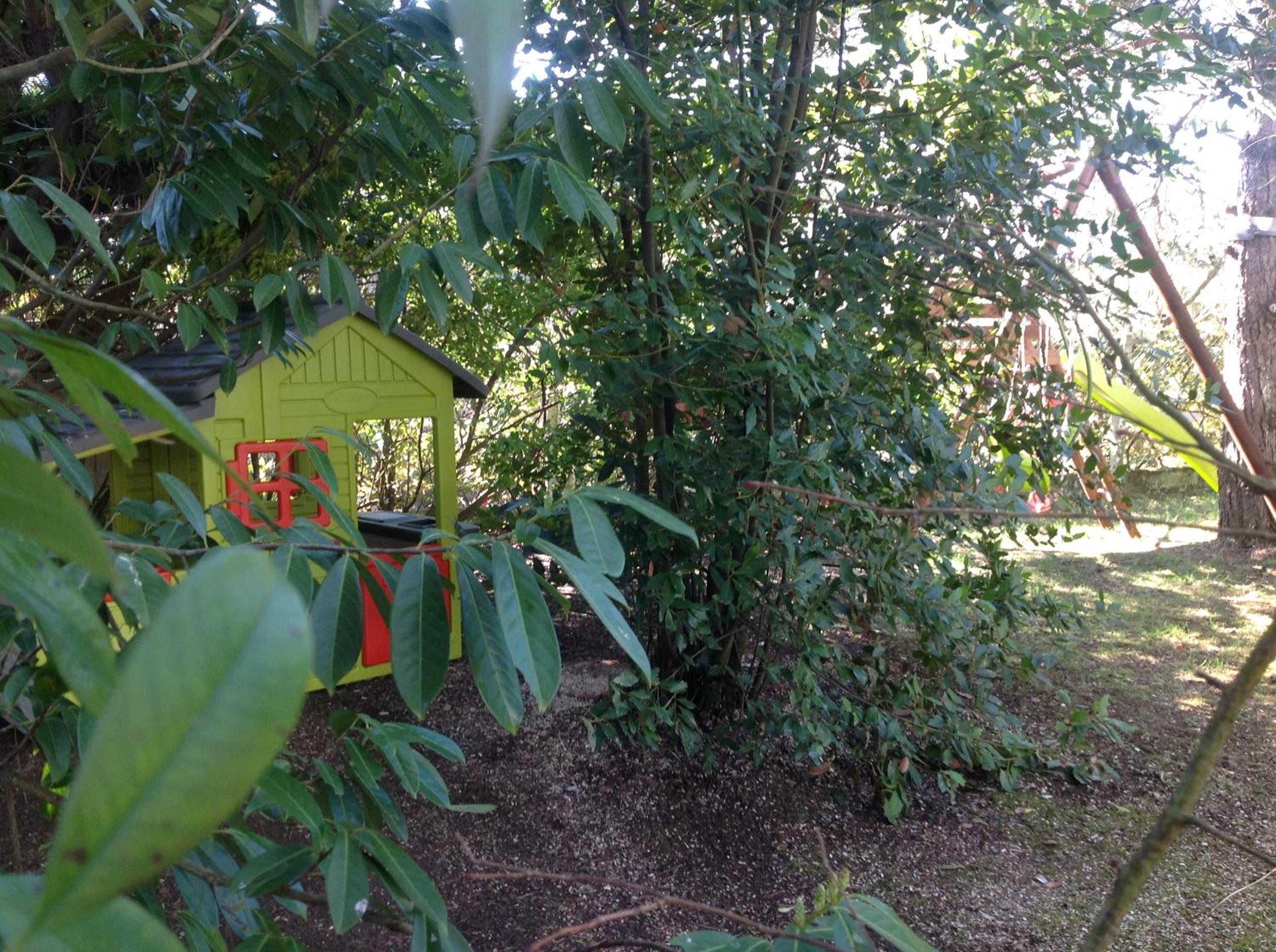 Photo 20