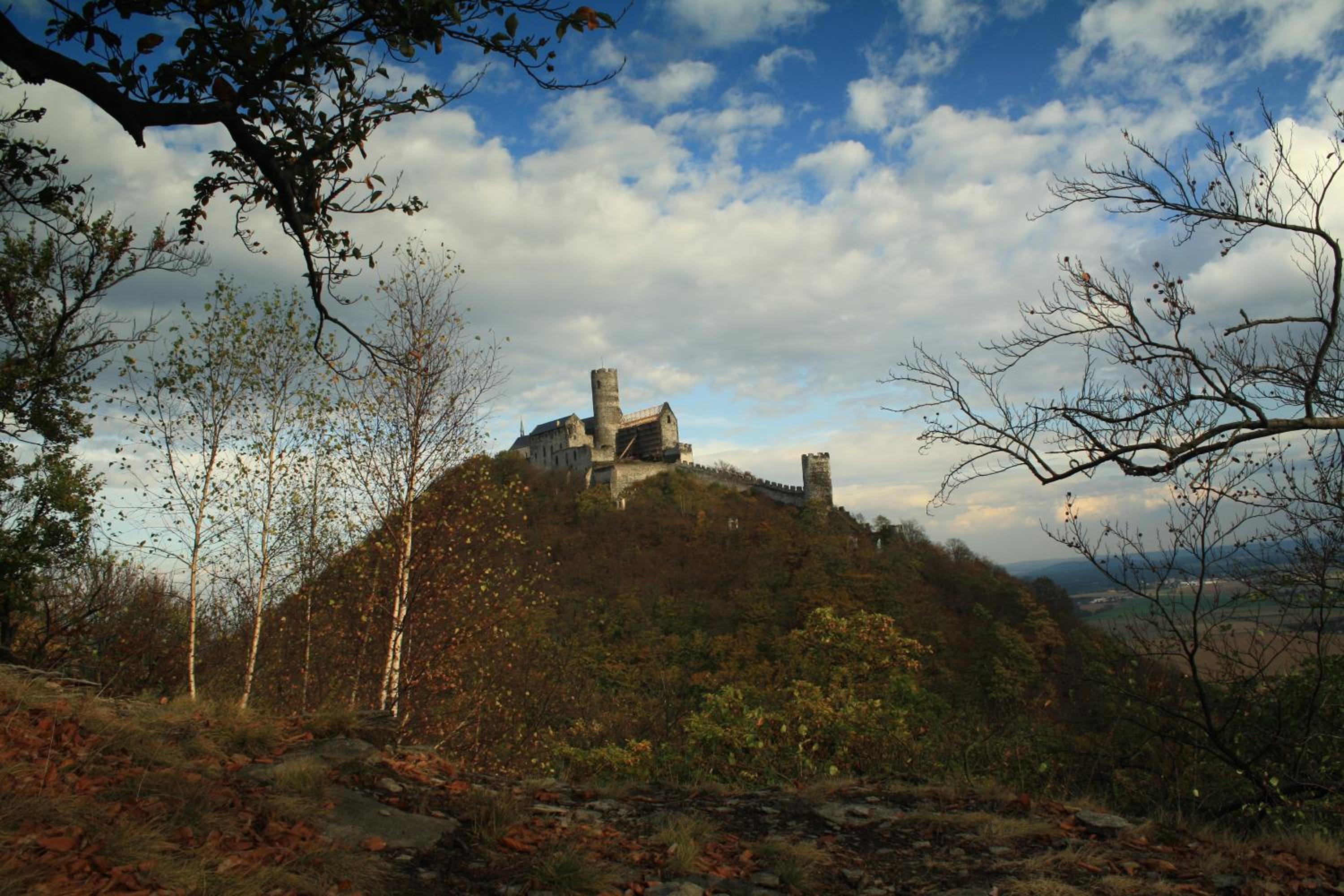Photo 12
