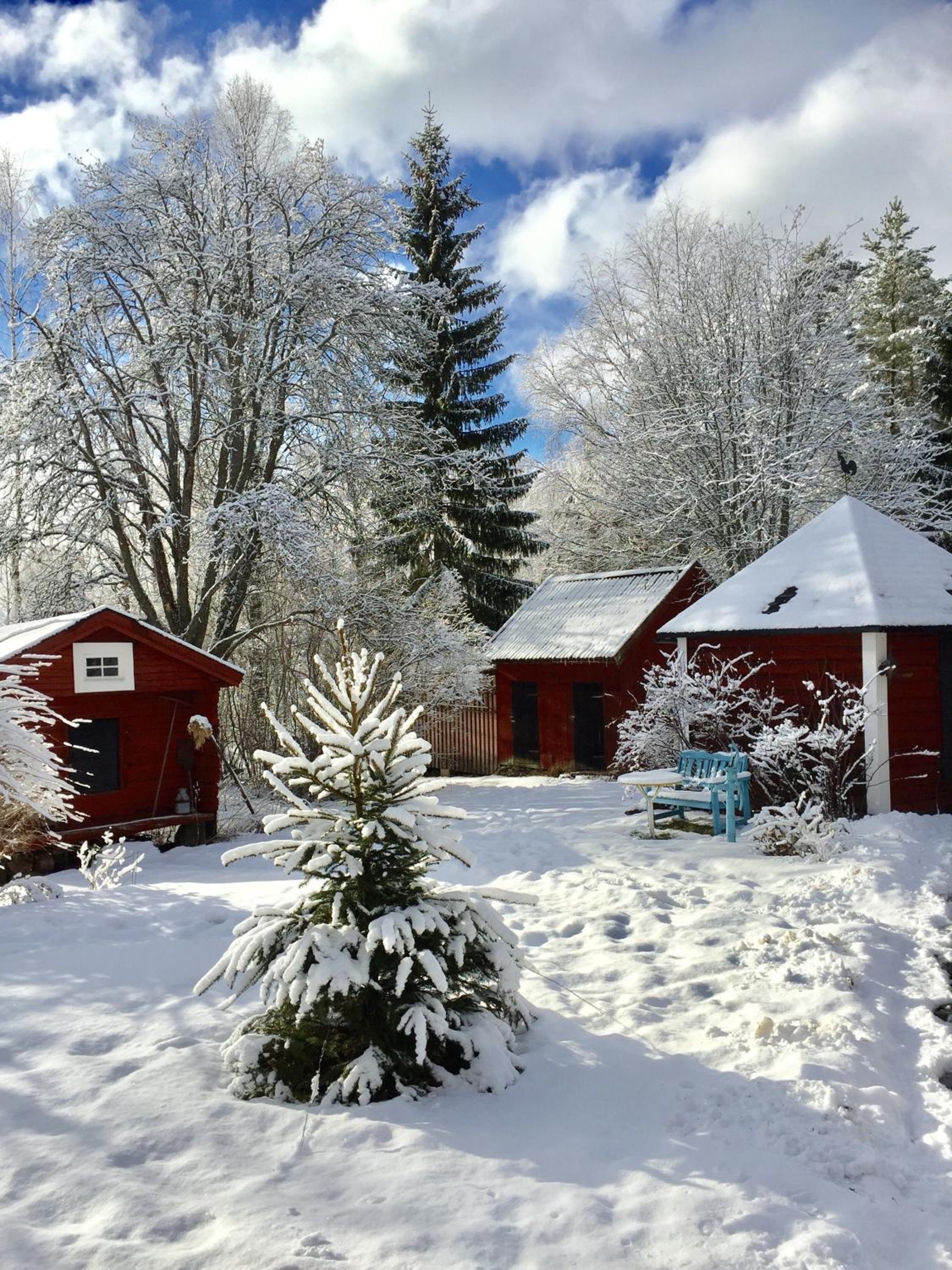 Olsbacka cottage