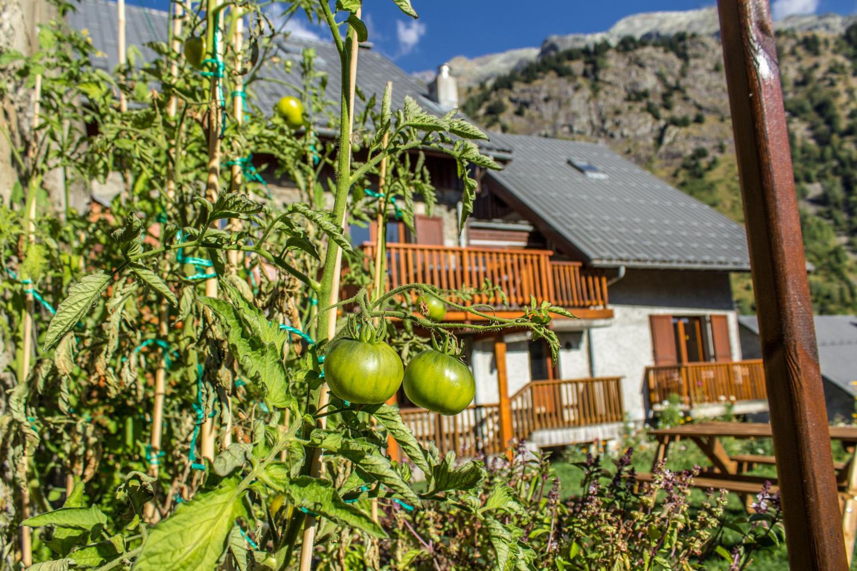Chalet Rostaing view 5