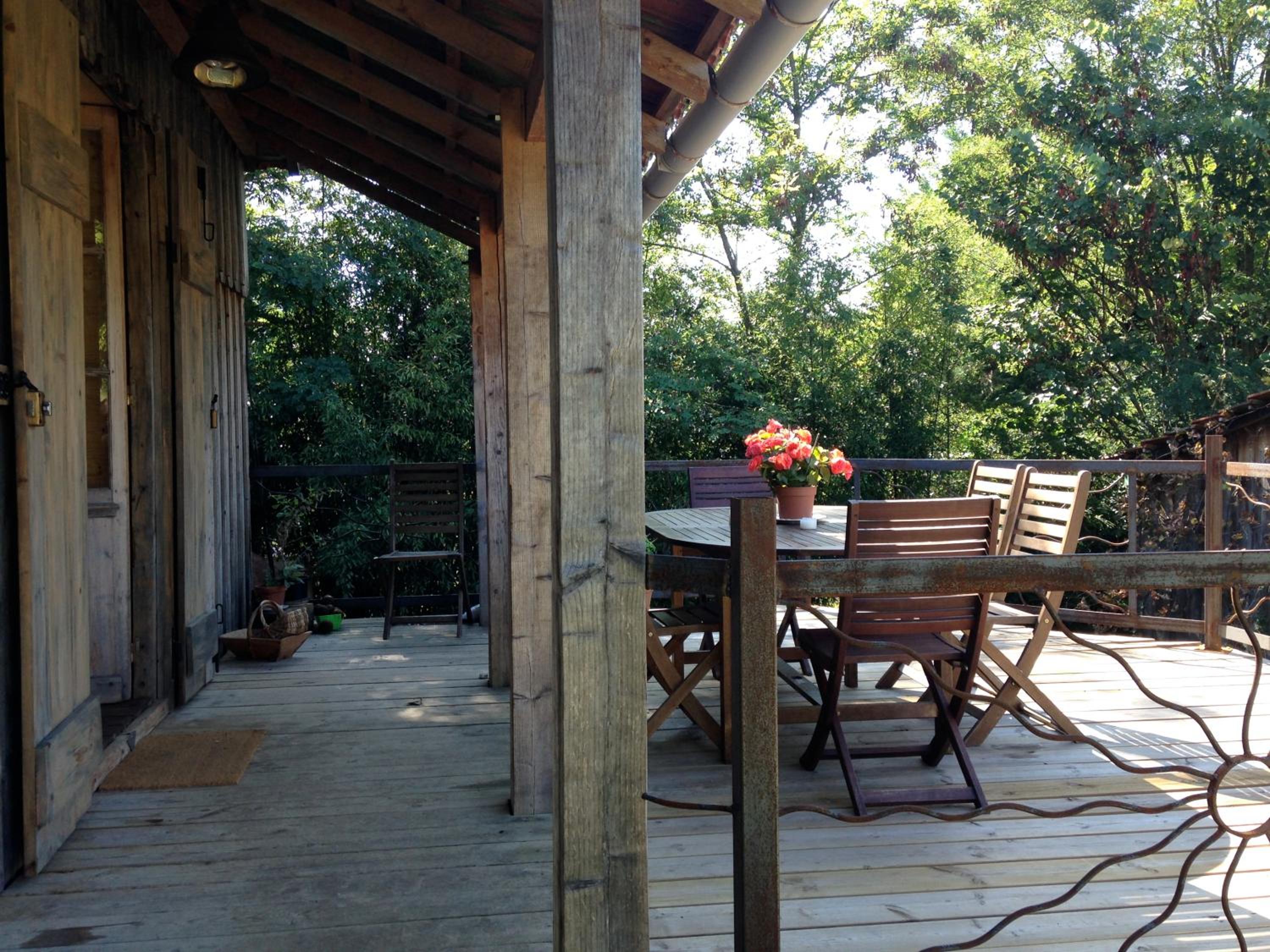 Photo 11