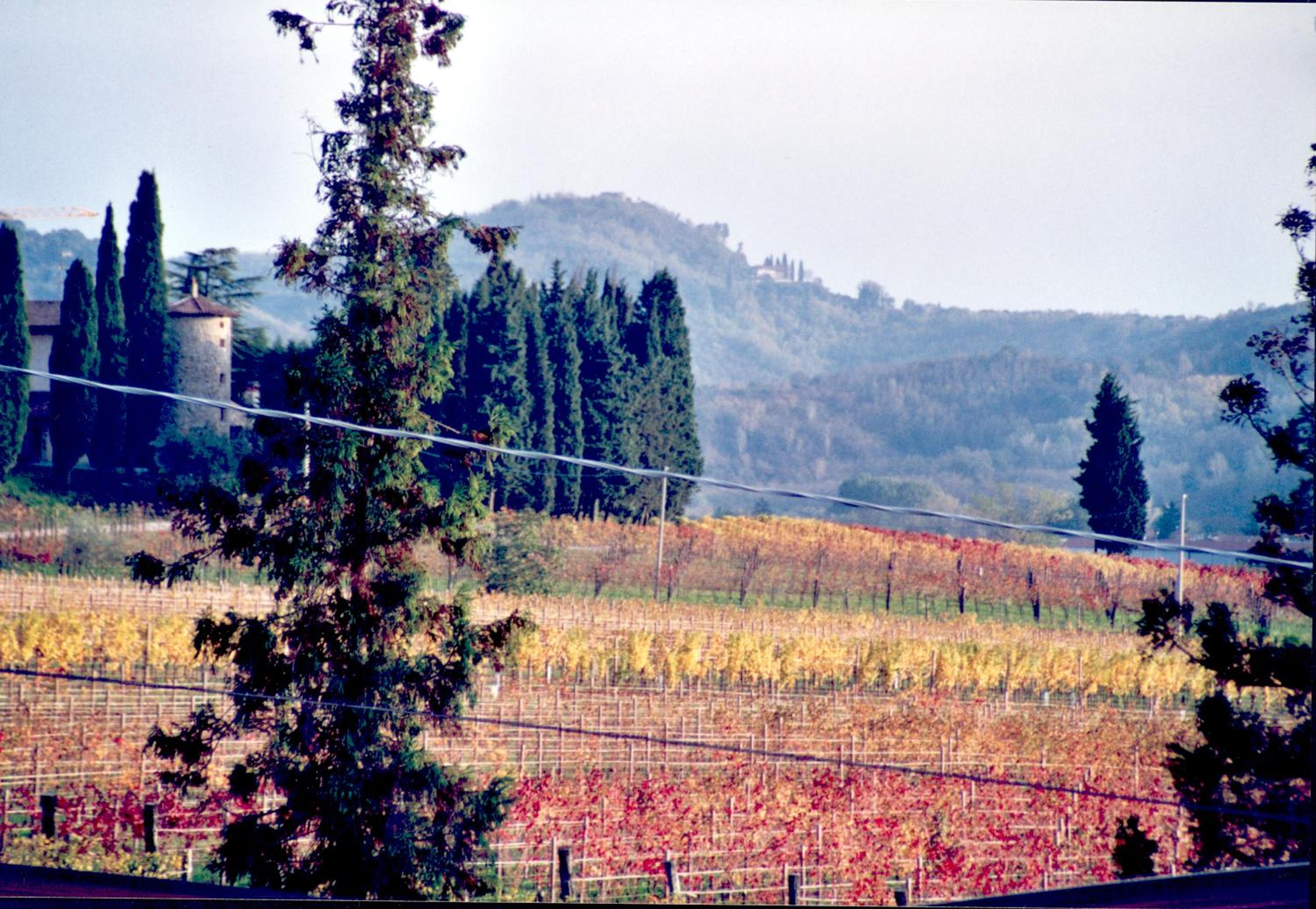 Tenuta Perusini