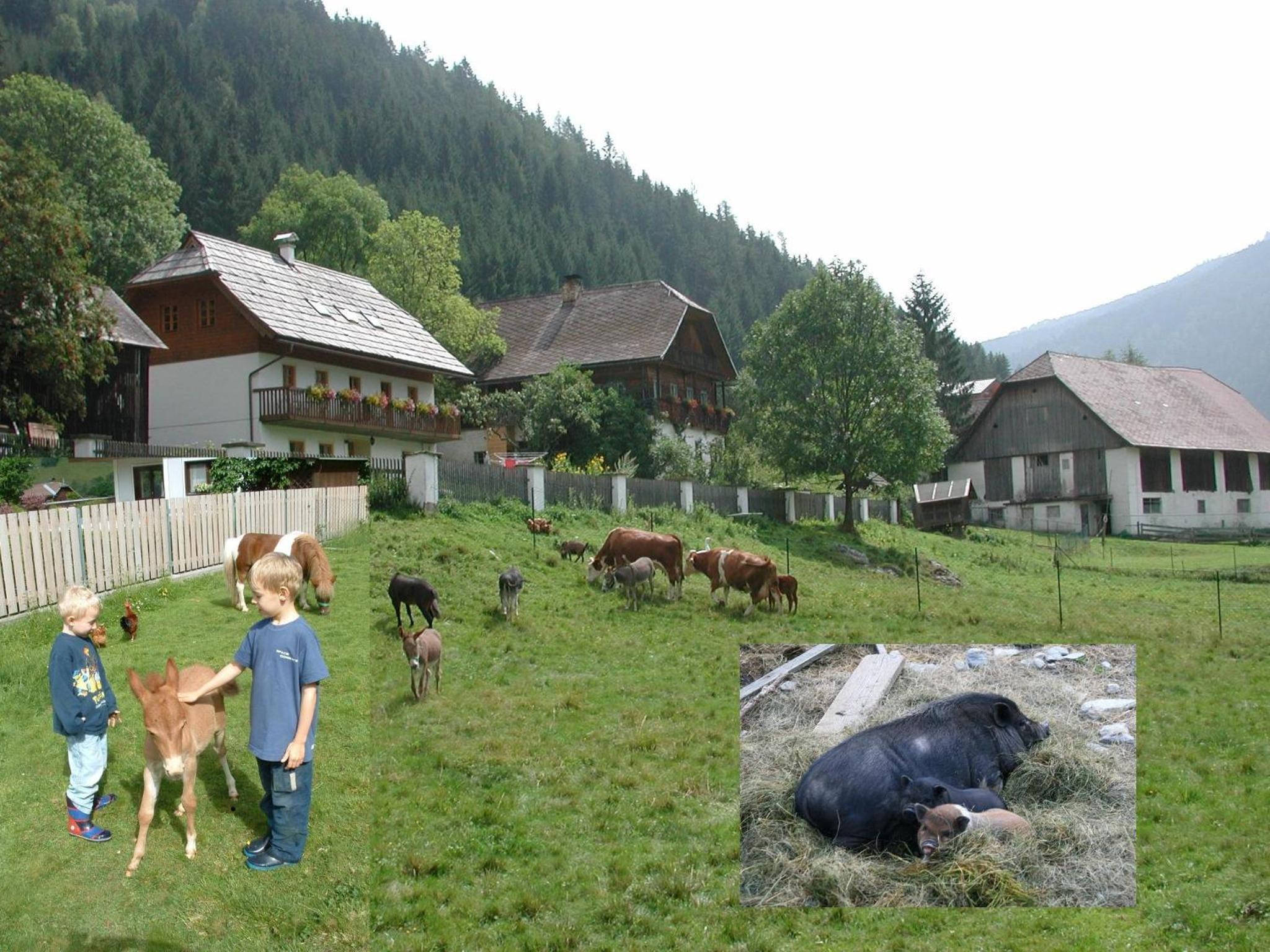Hof Wieser
