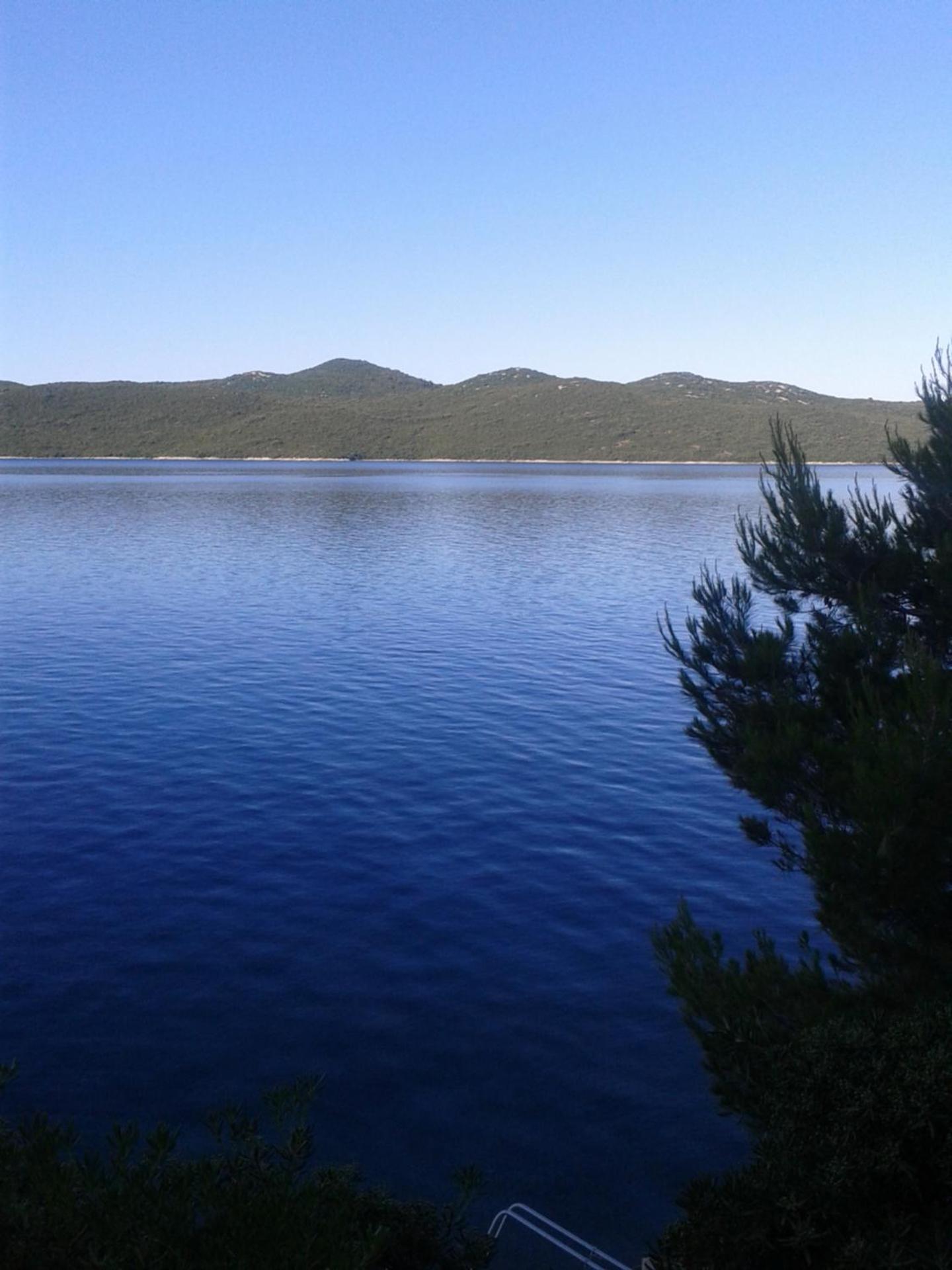Photo 42