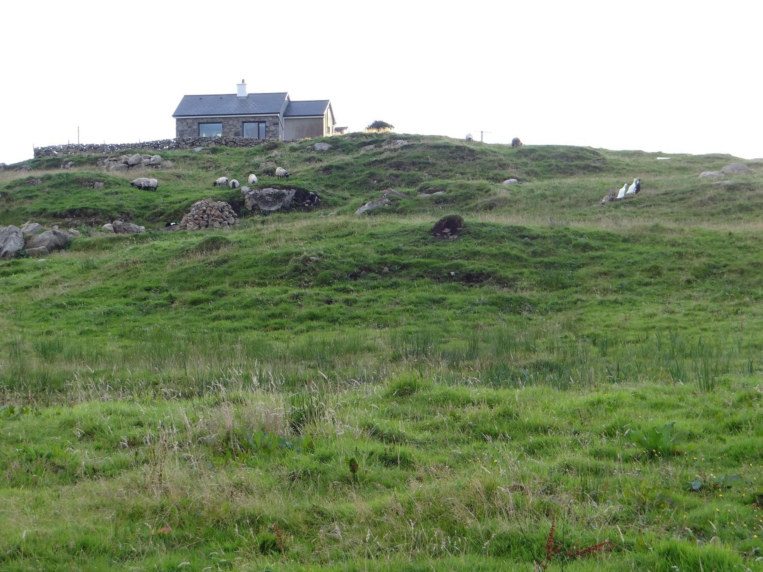 Photo 24