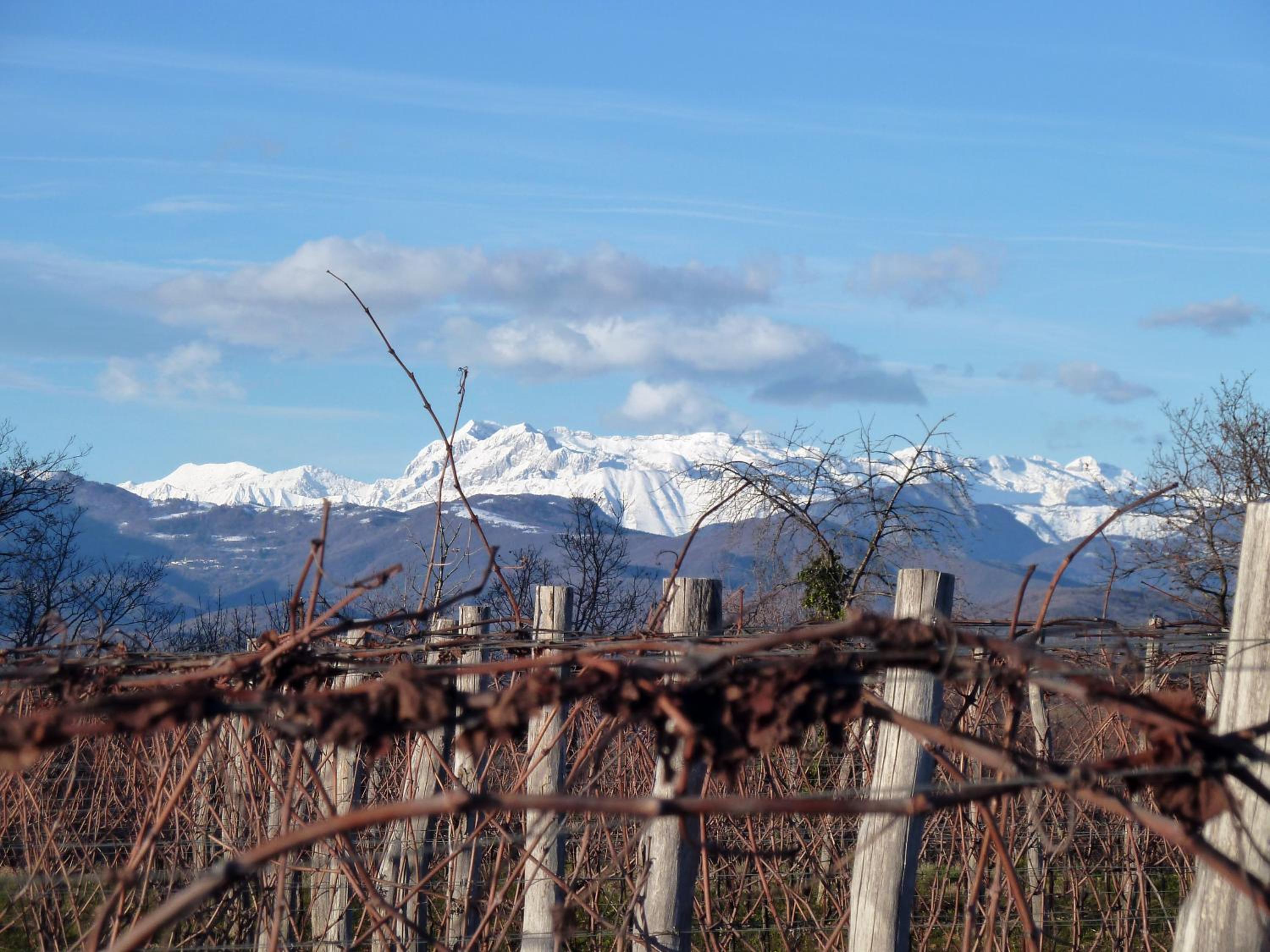 Tenuta Perusini