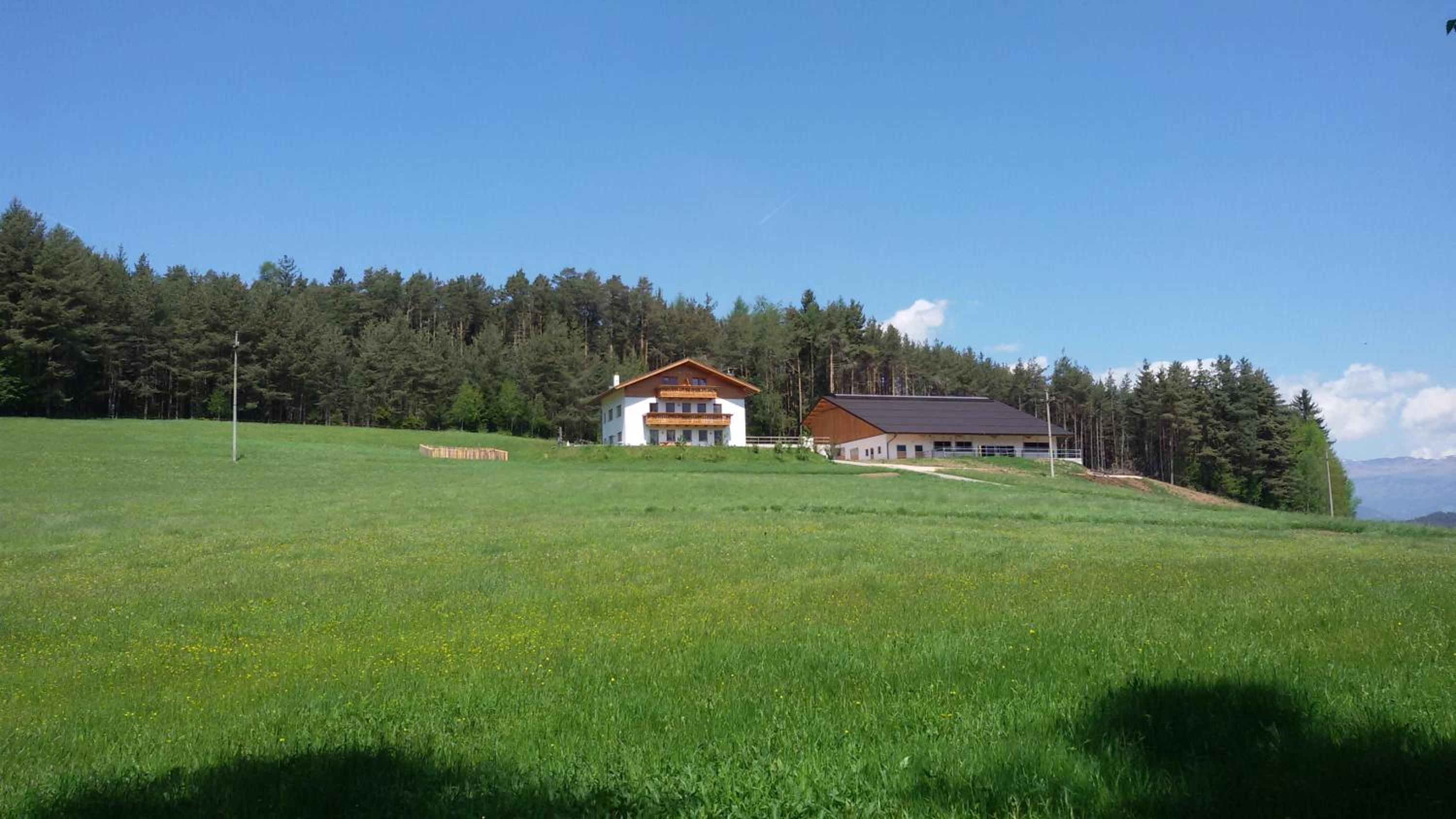 Photo 26