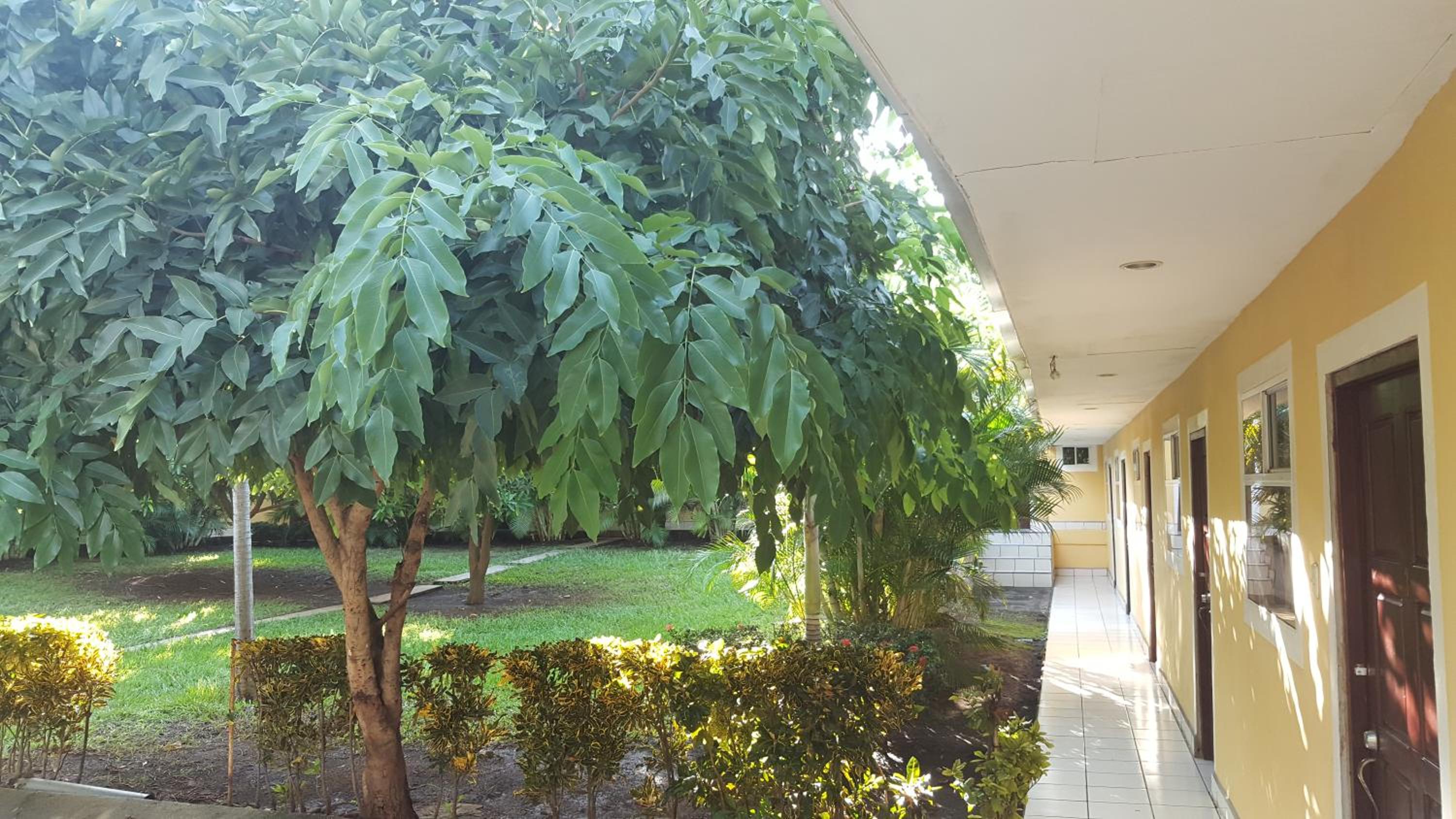 Photo 18