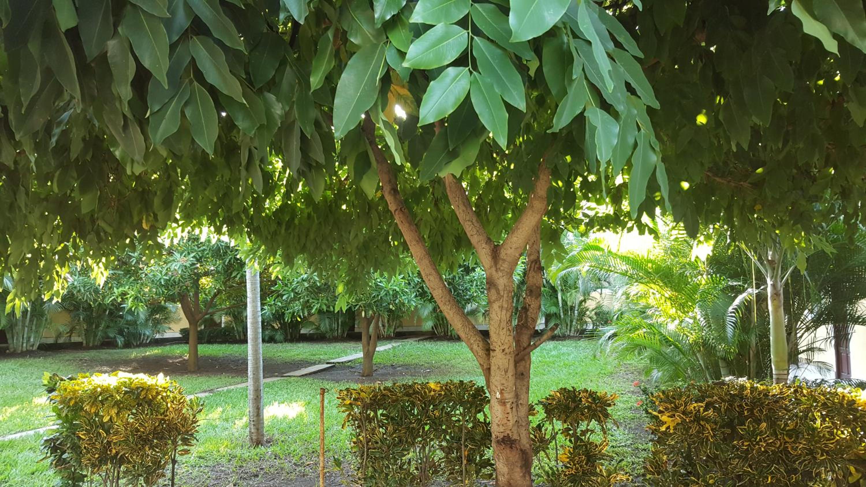 Photo 16