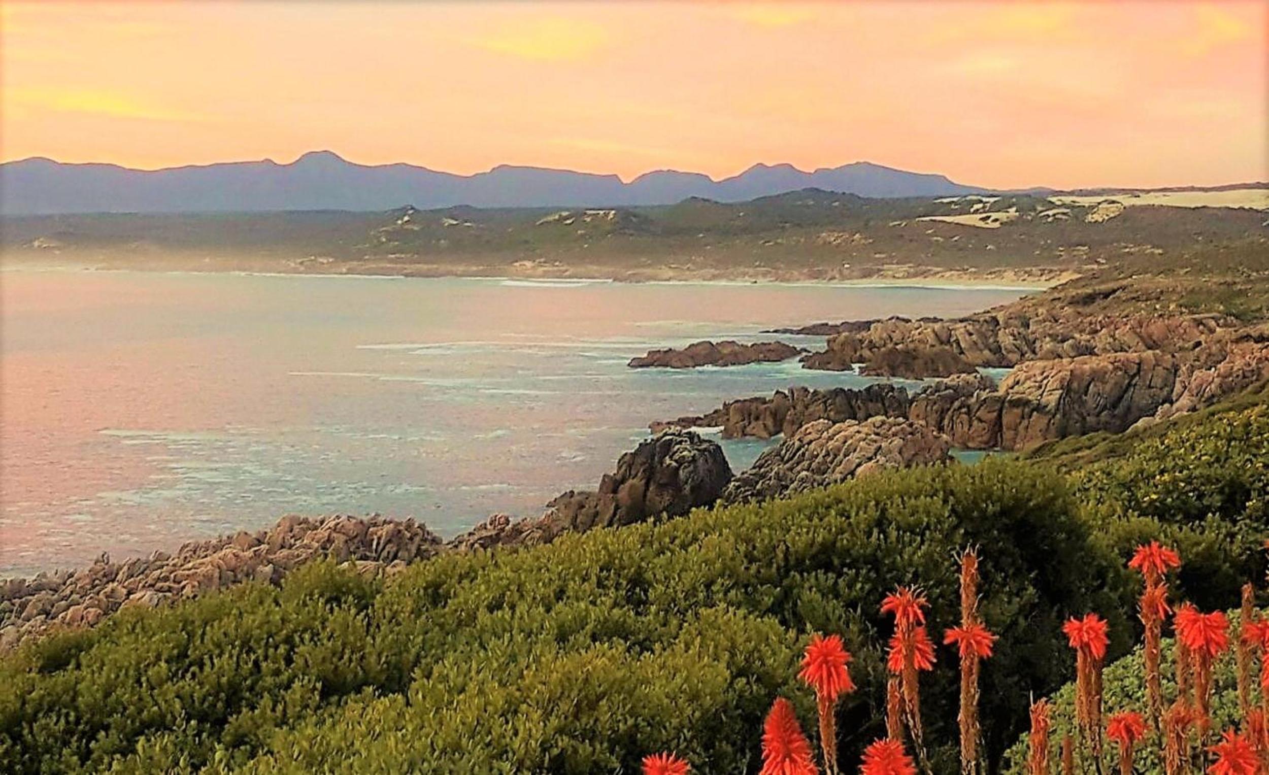 Kleinzee Oceanfront Guesthouse