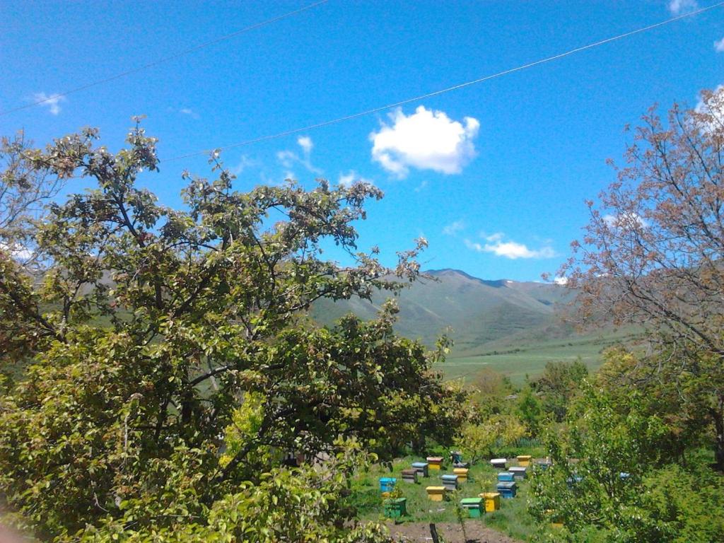 Anush`s B&B