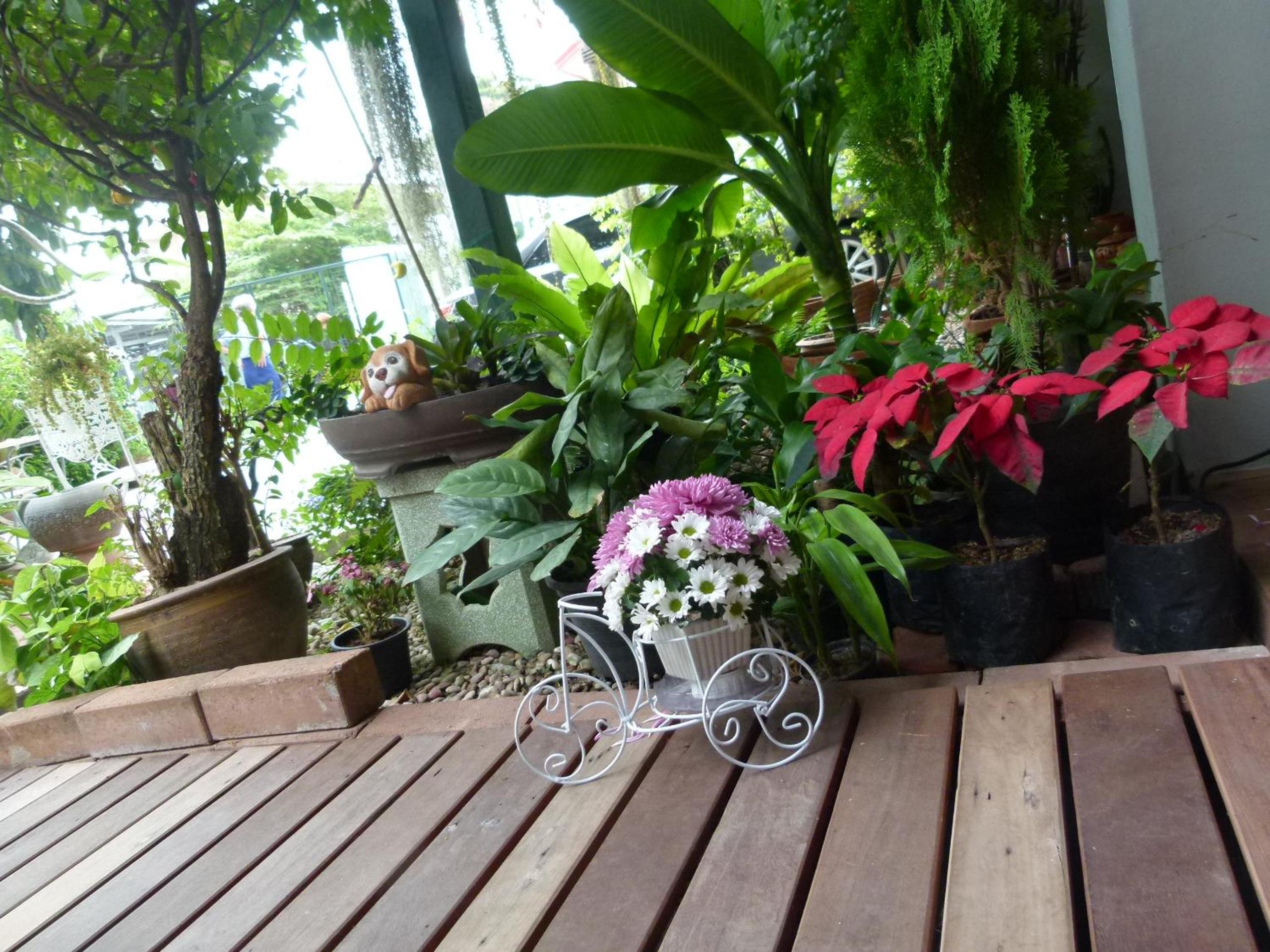 Photo 43