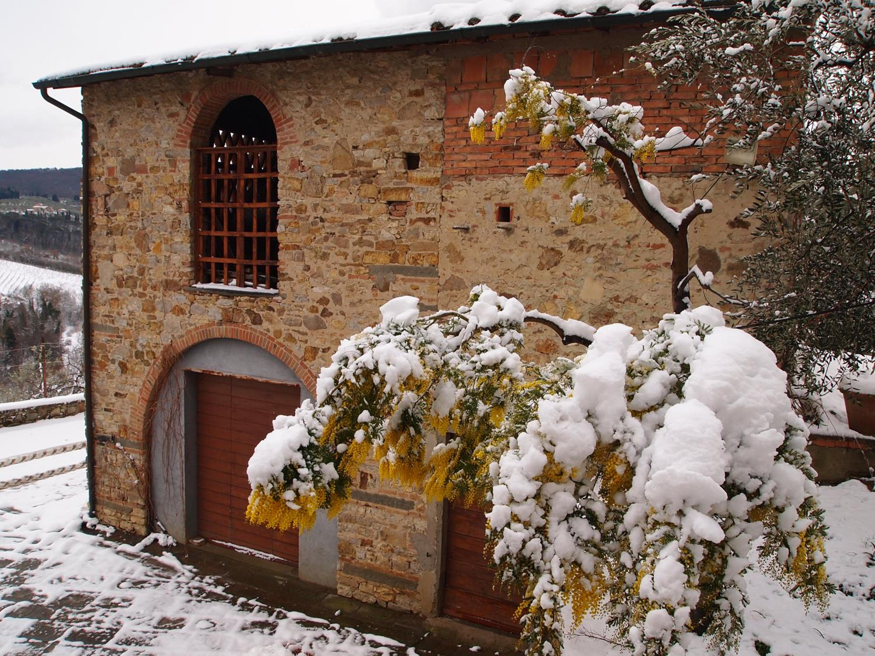 Photo 42