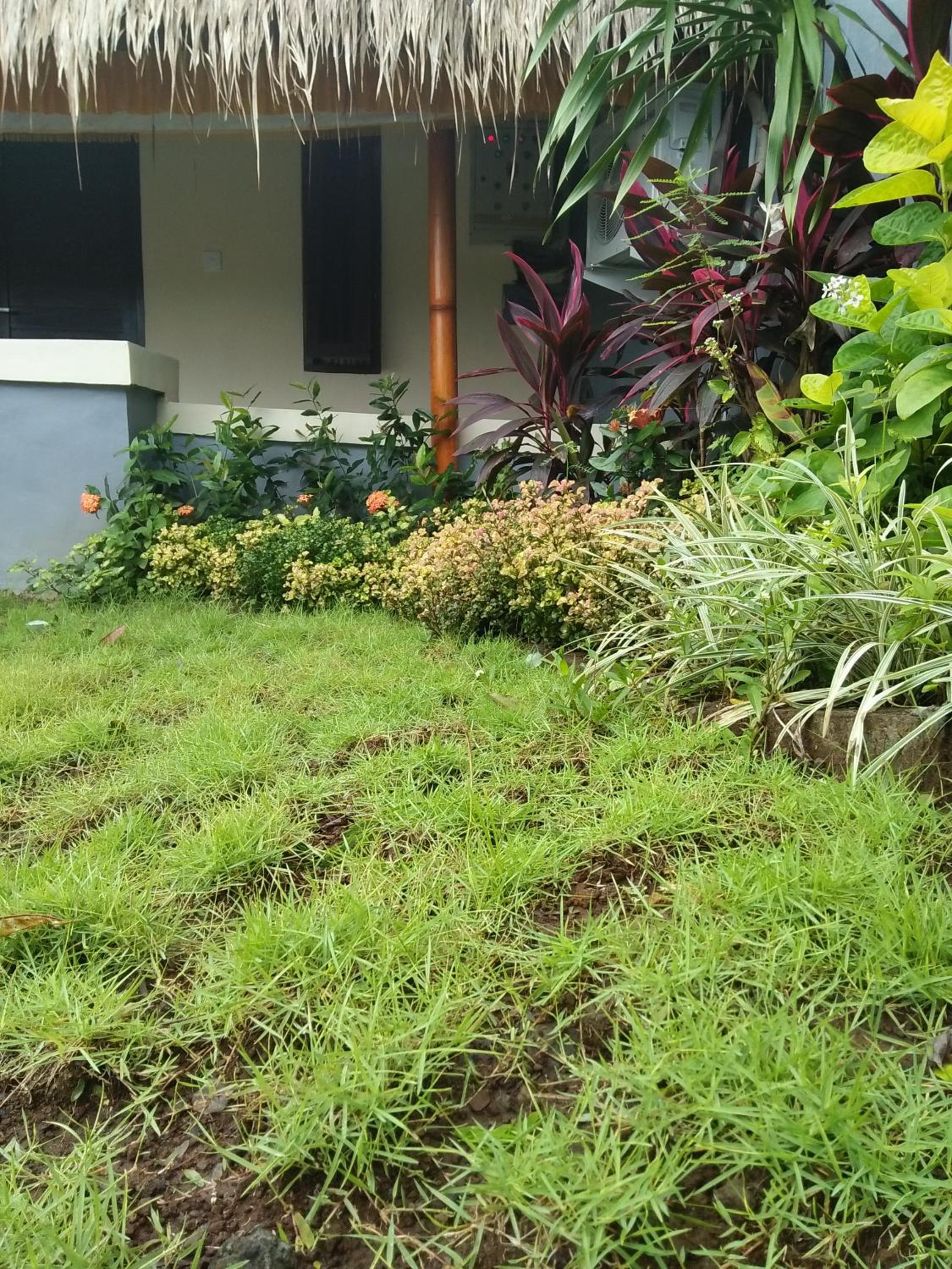 BB Homestay Two