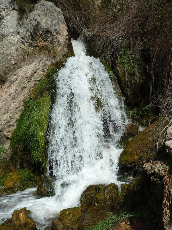 Photo 72