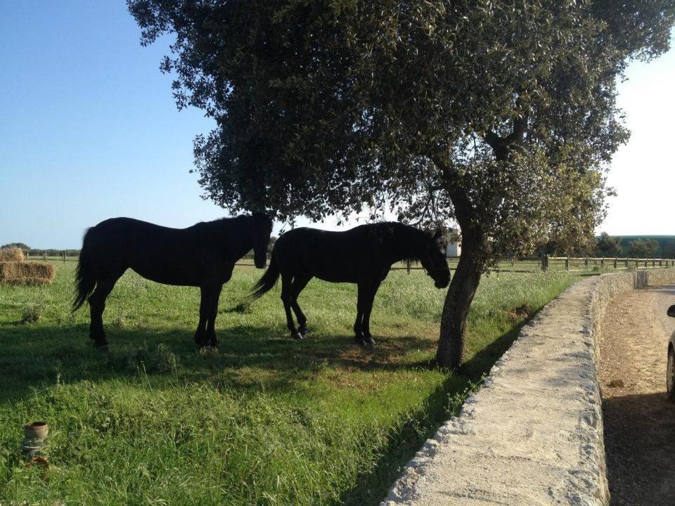 Masseria Autigne