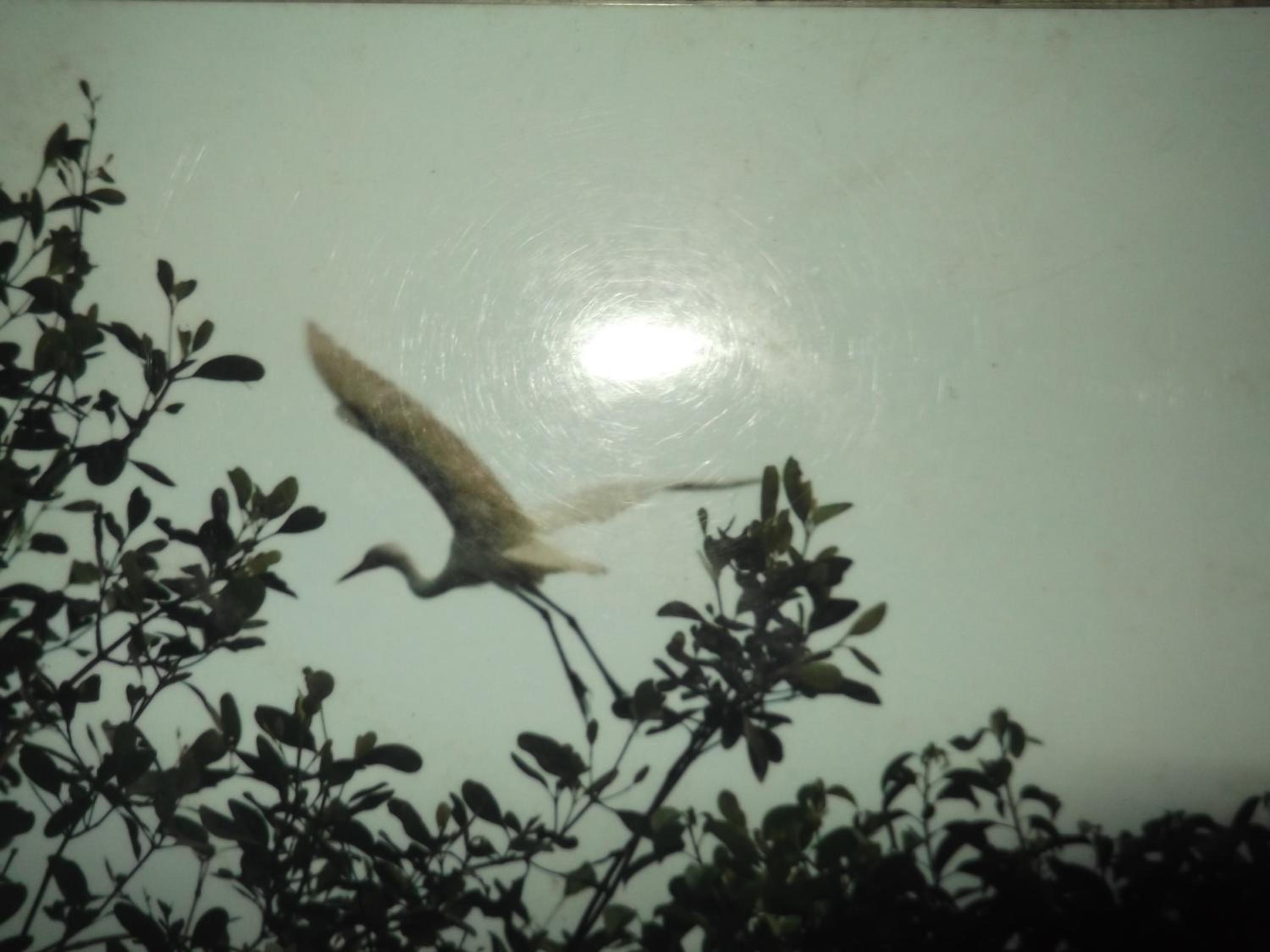 Photo 35