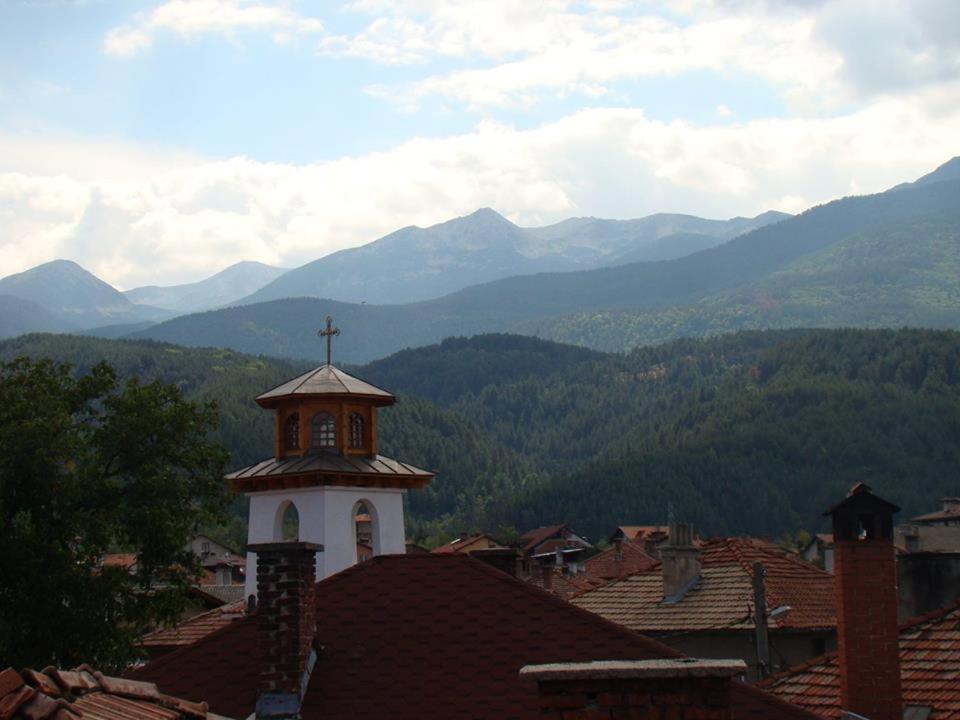 Yana Guest House