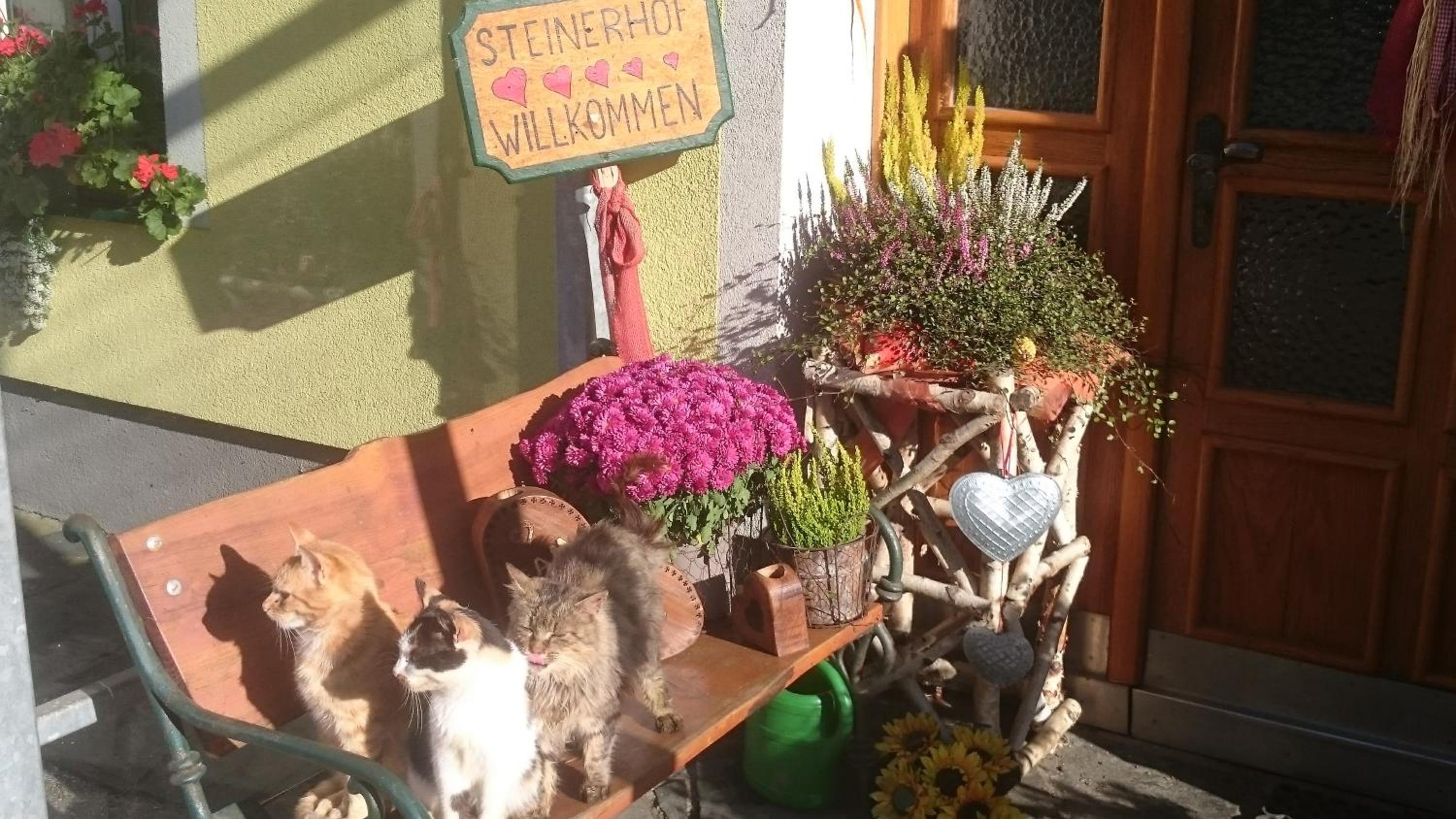 ERLEBNISBAUERNHOF Steinerhof in Kärnten