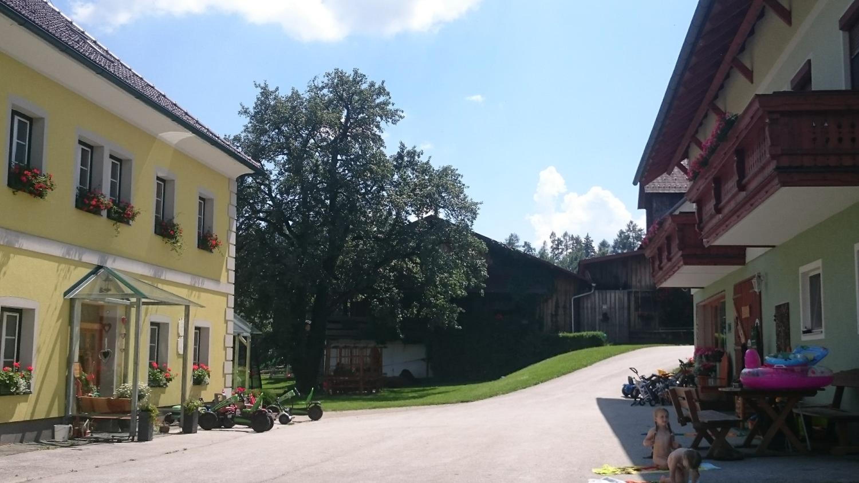 ERLEBNISBAUERNHOF Steinerhof in Kärnten