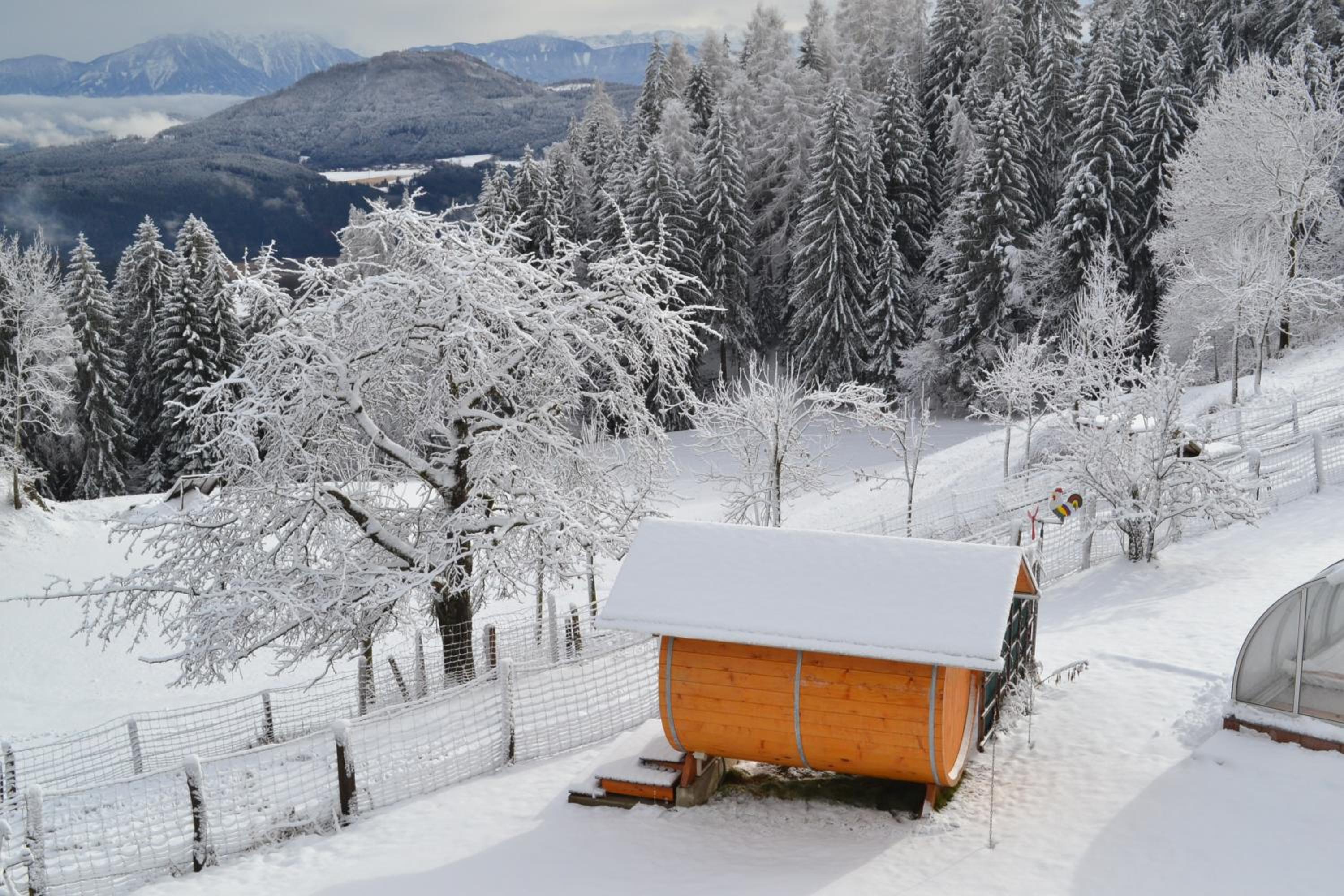 ERLEBNISBAUERNHOF Steinerhof in Kärnten