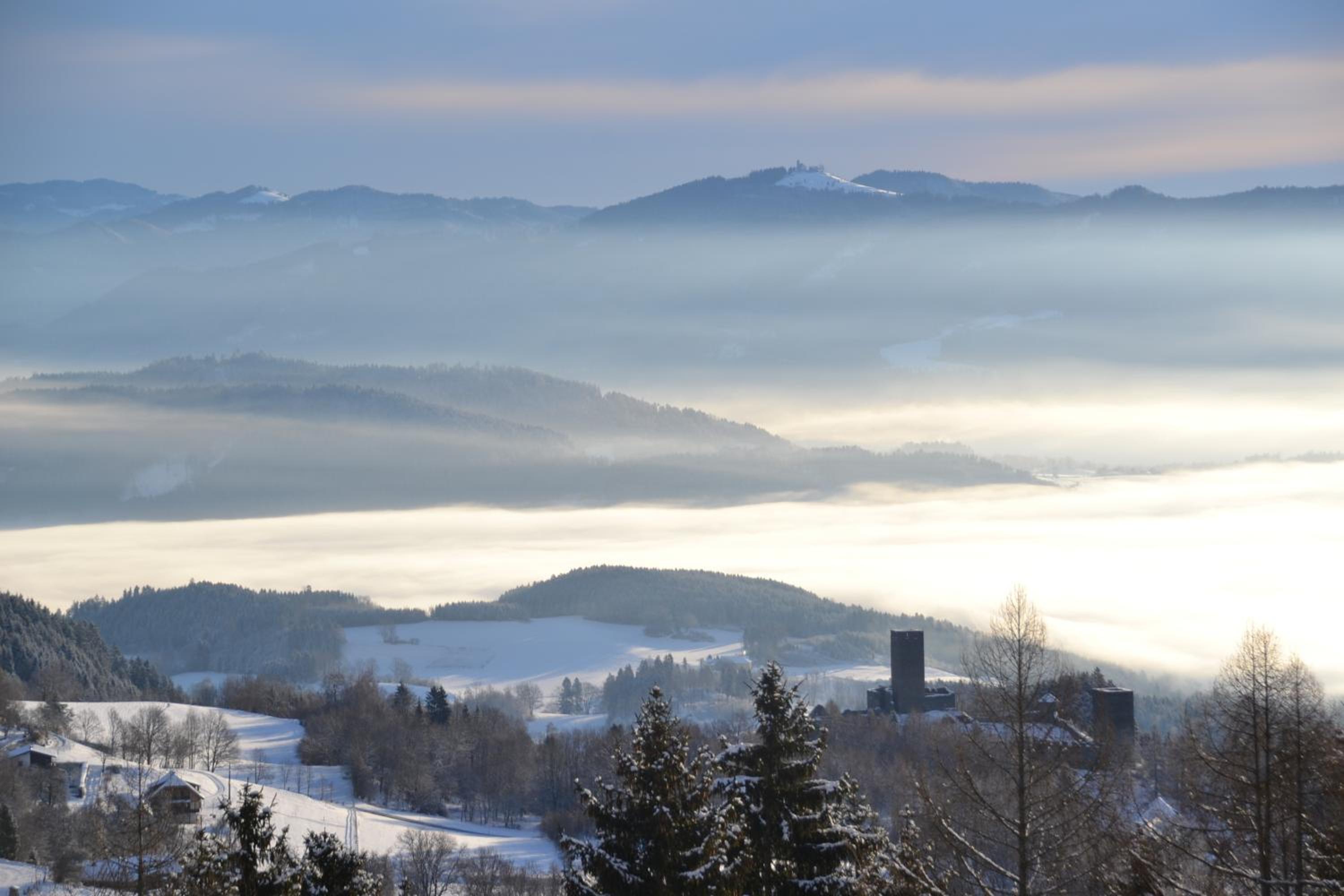 ERLEBNISBAUERNHOF Steinerhof in Kärnten