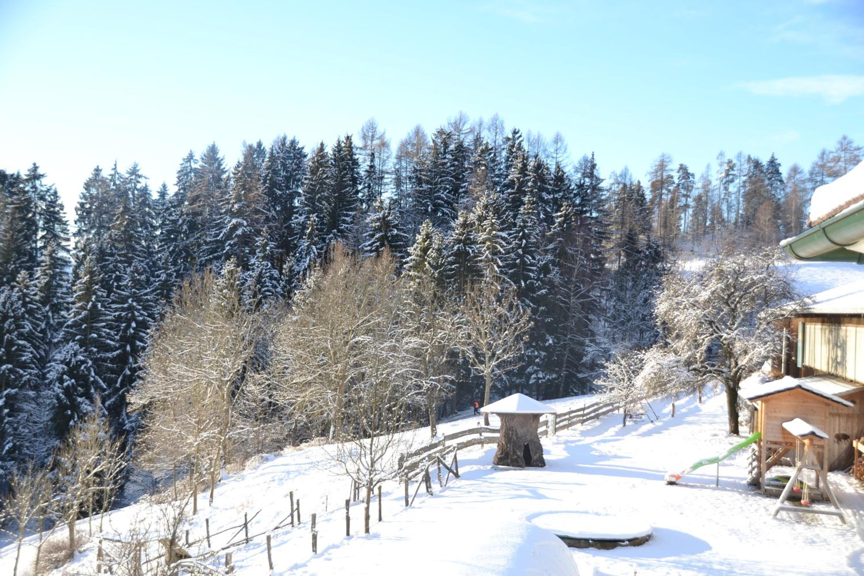 ERLEBNISBAUERNHOF Steinerhof in Kärnten