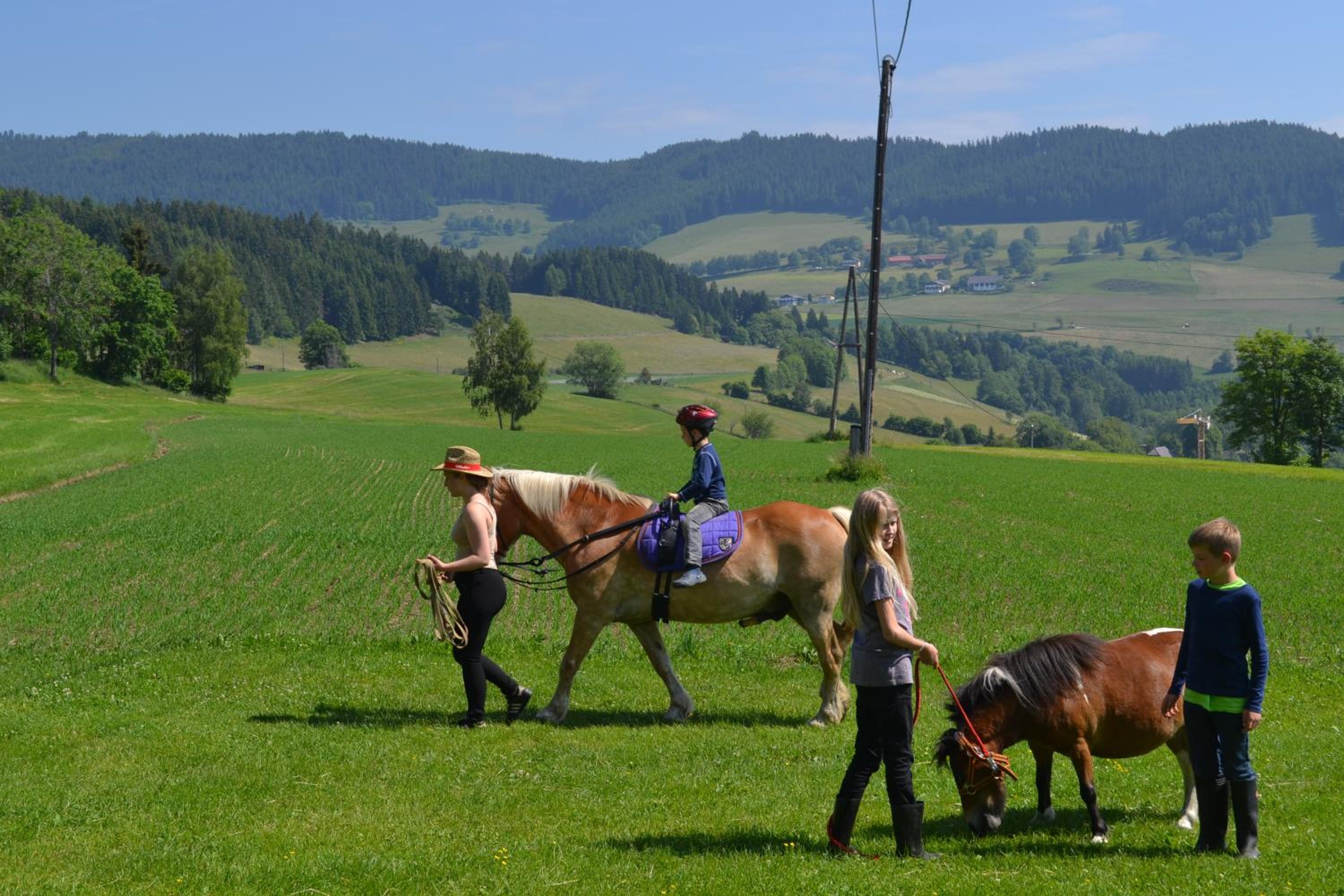 ERLEBNISBAUERNHOF Steinerhof in Kärnten