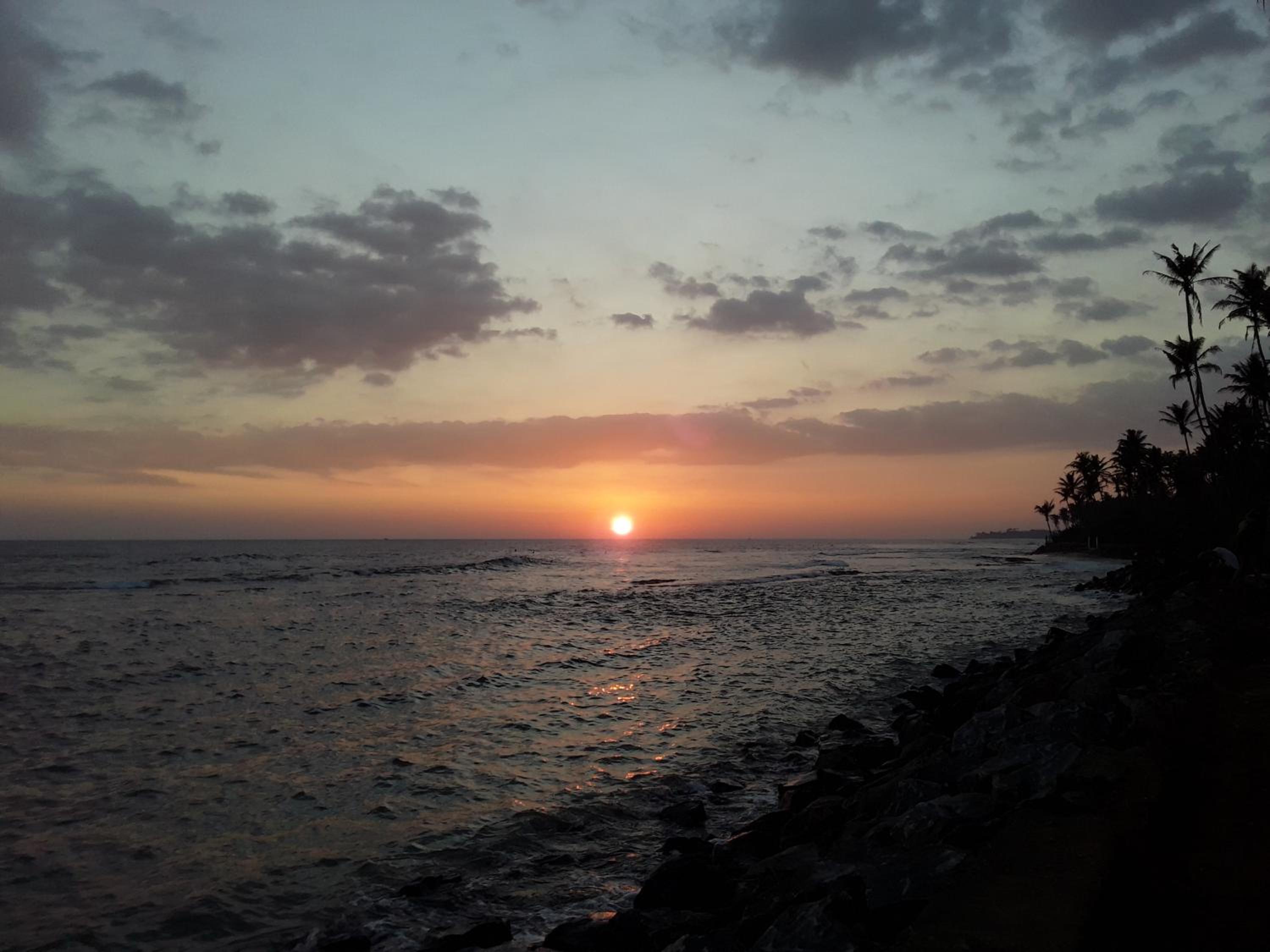 Photo 46