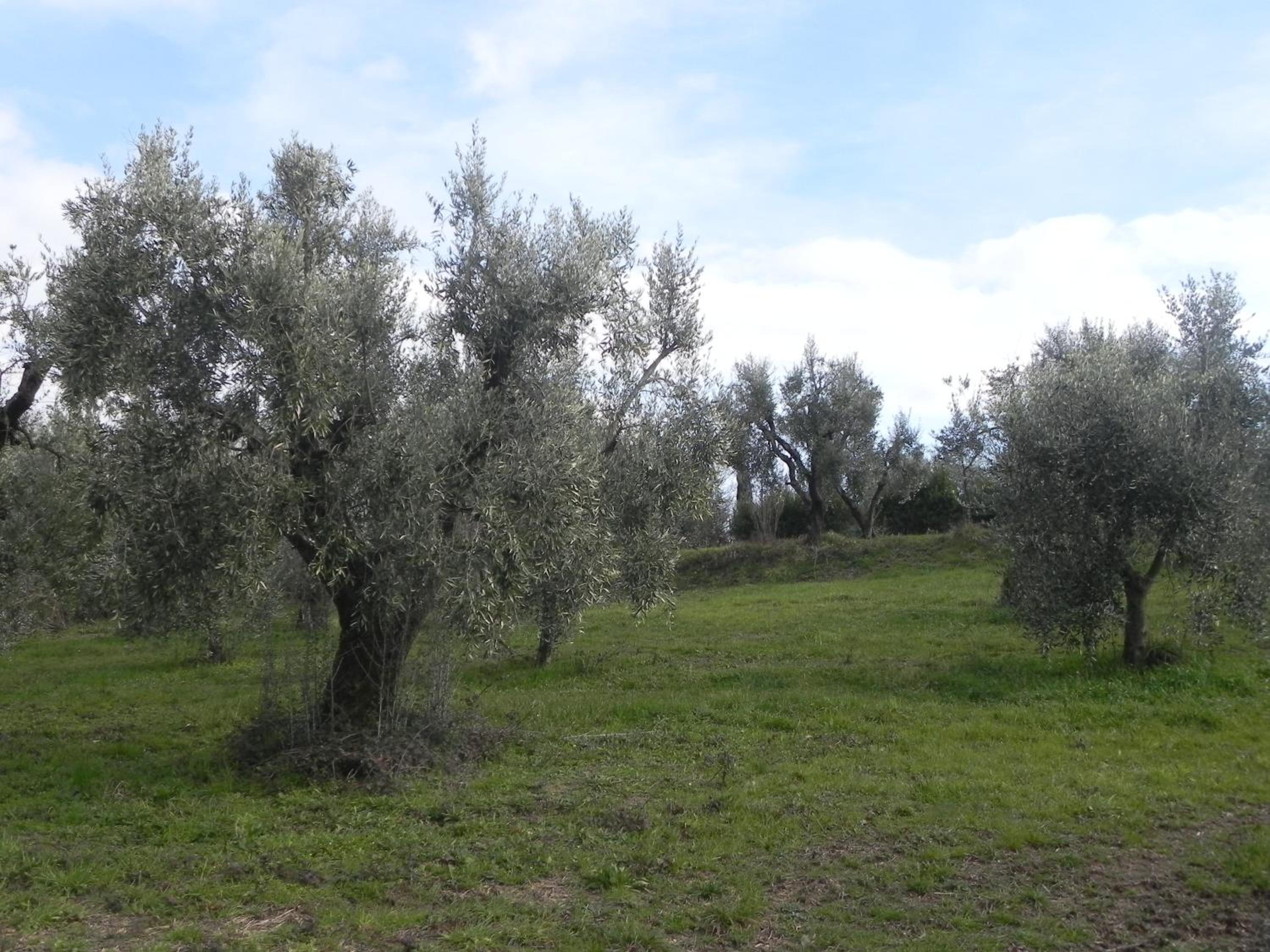 Villa Agnolaccio Residenza d'Epoca