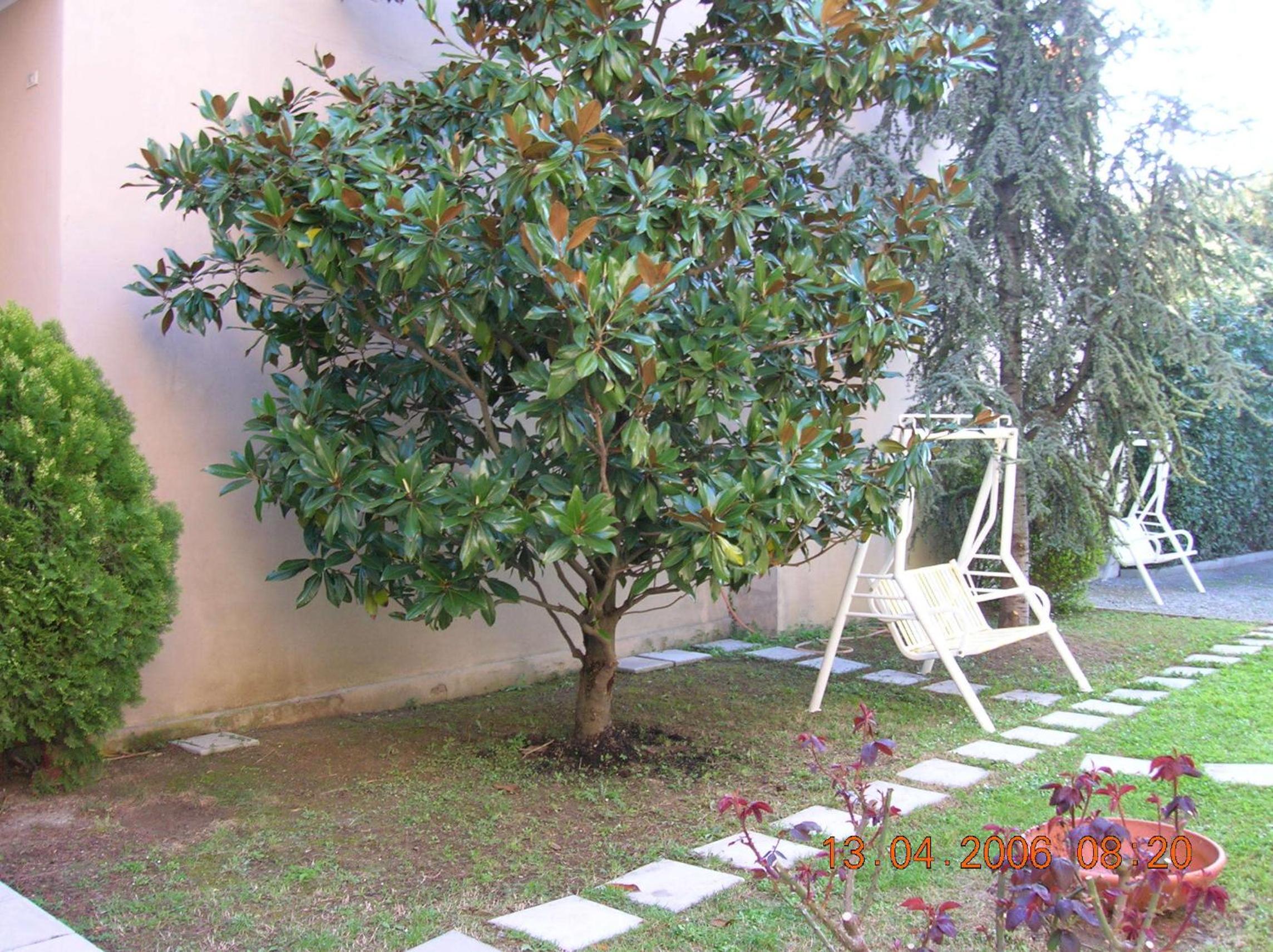 Hotel Trieste, photo 20
