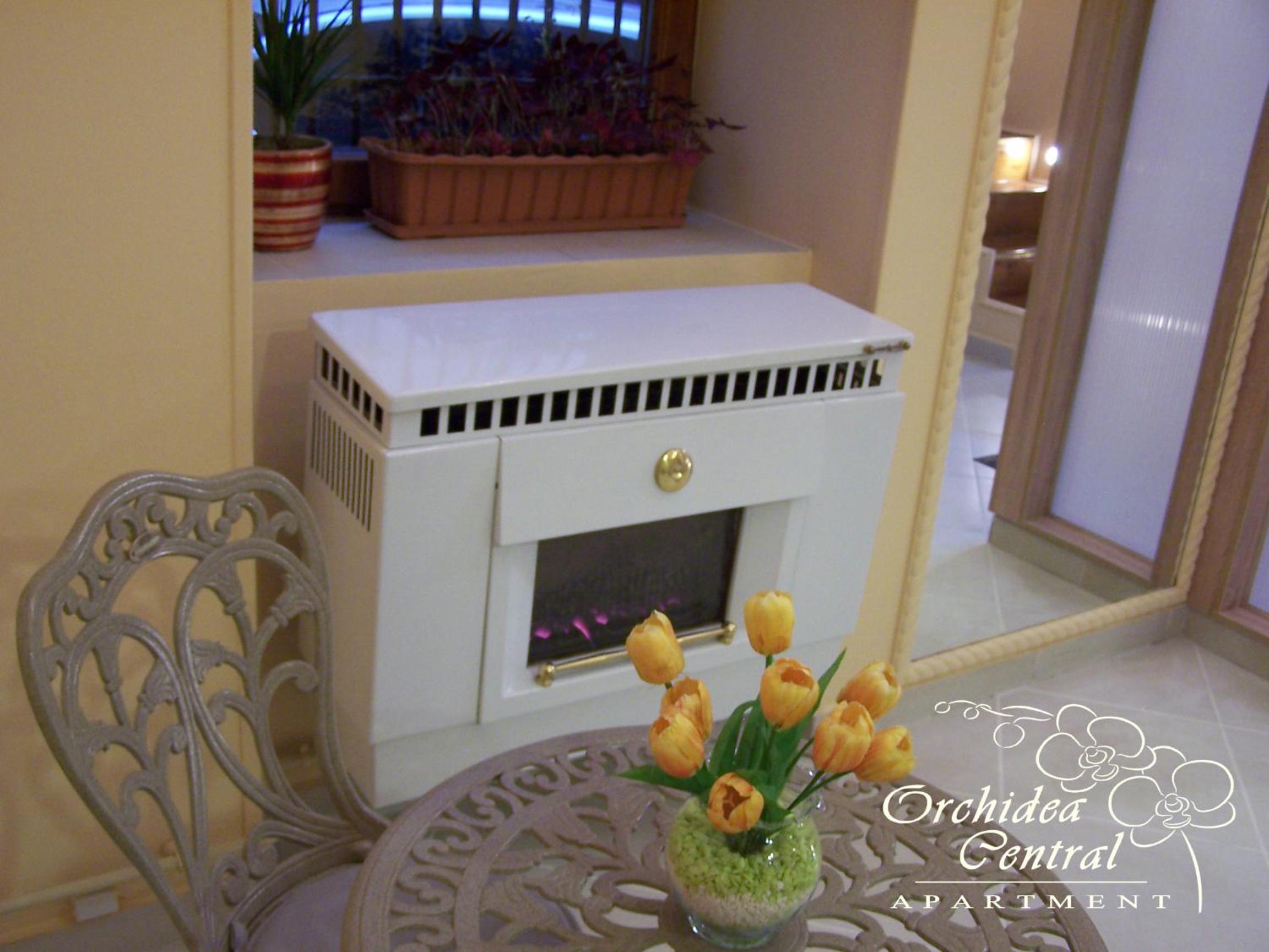 Orchidea Central Apartment view 4