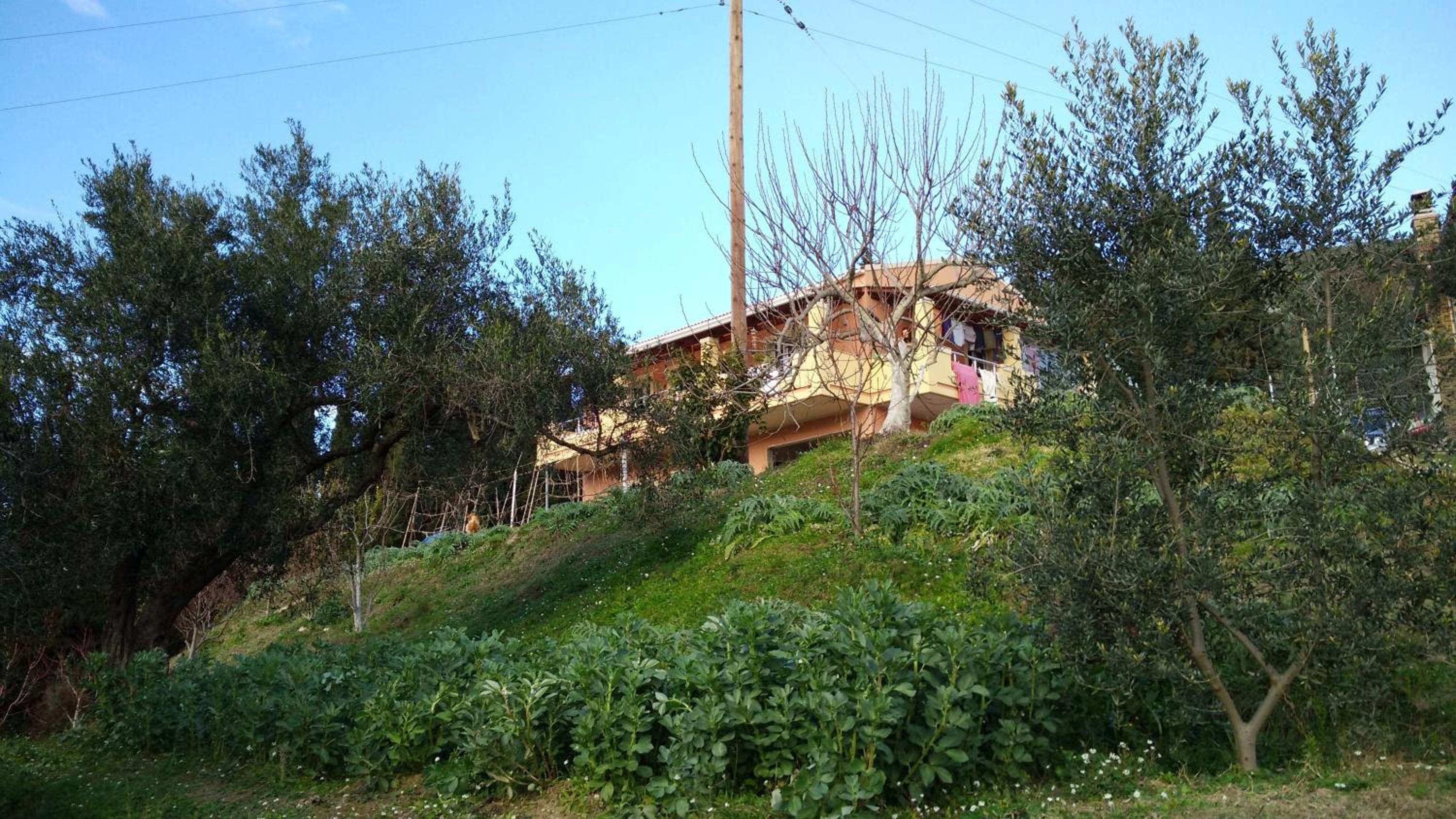Polikseni House