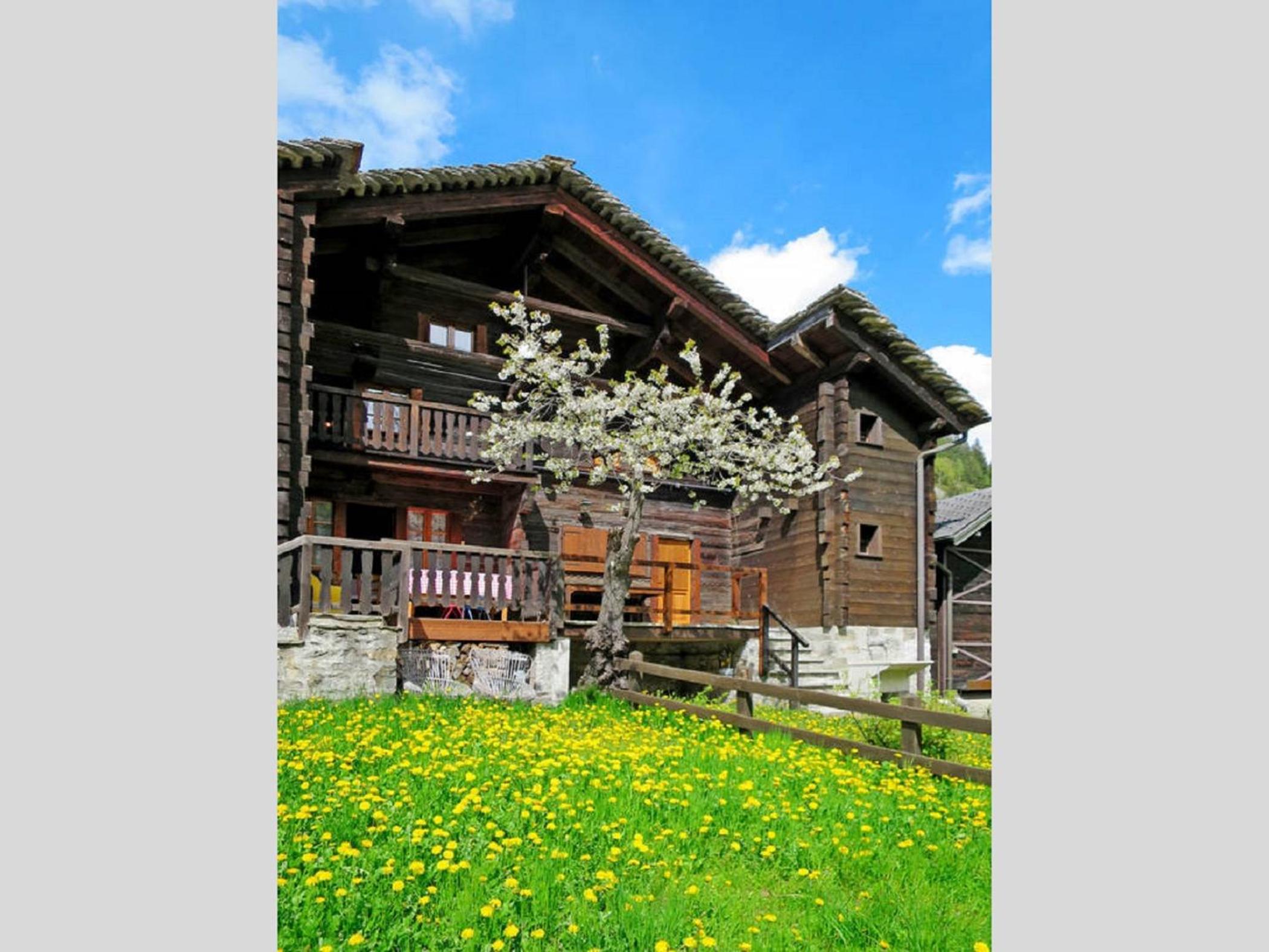 Chalet Martina view 4