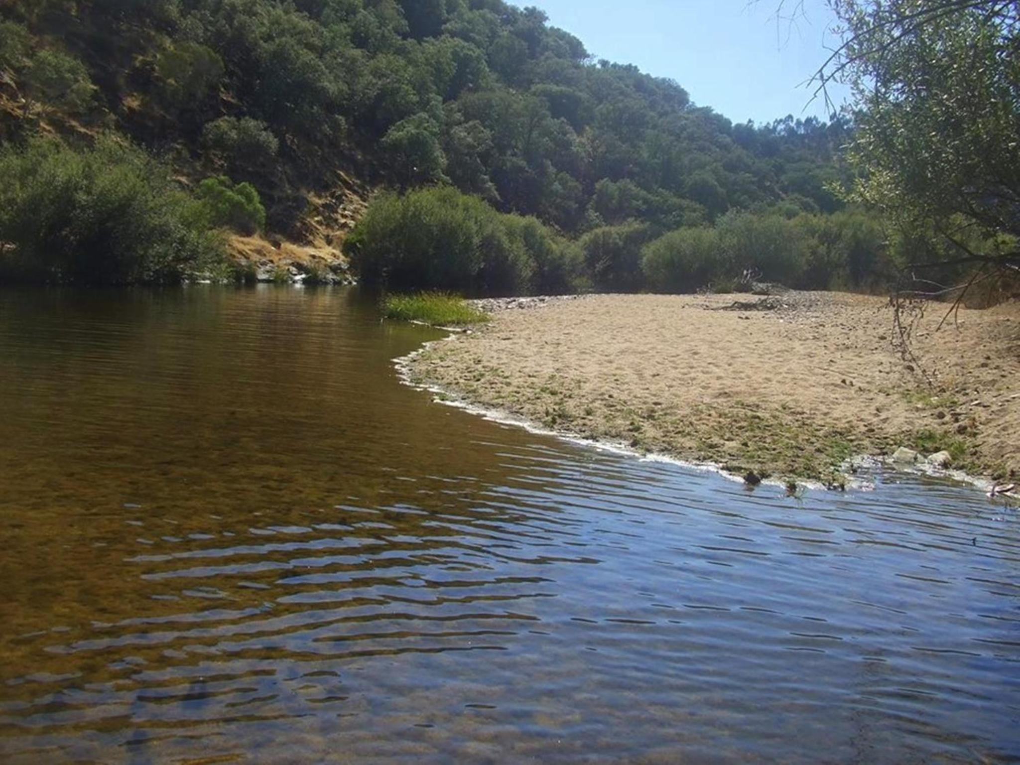 Couto dos Pardinhos, Zdjęcie 11