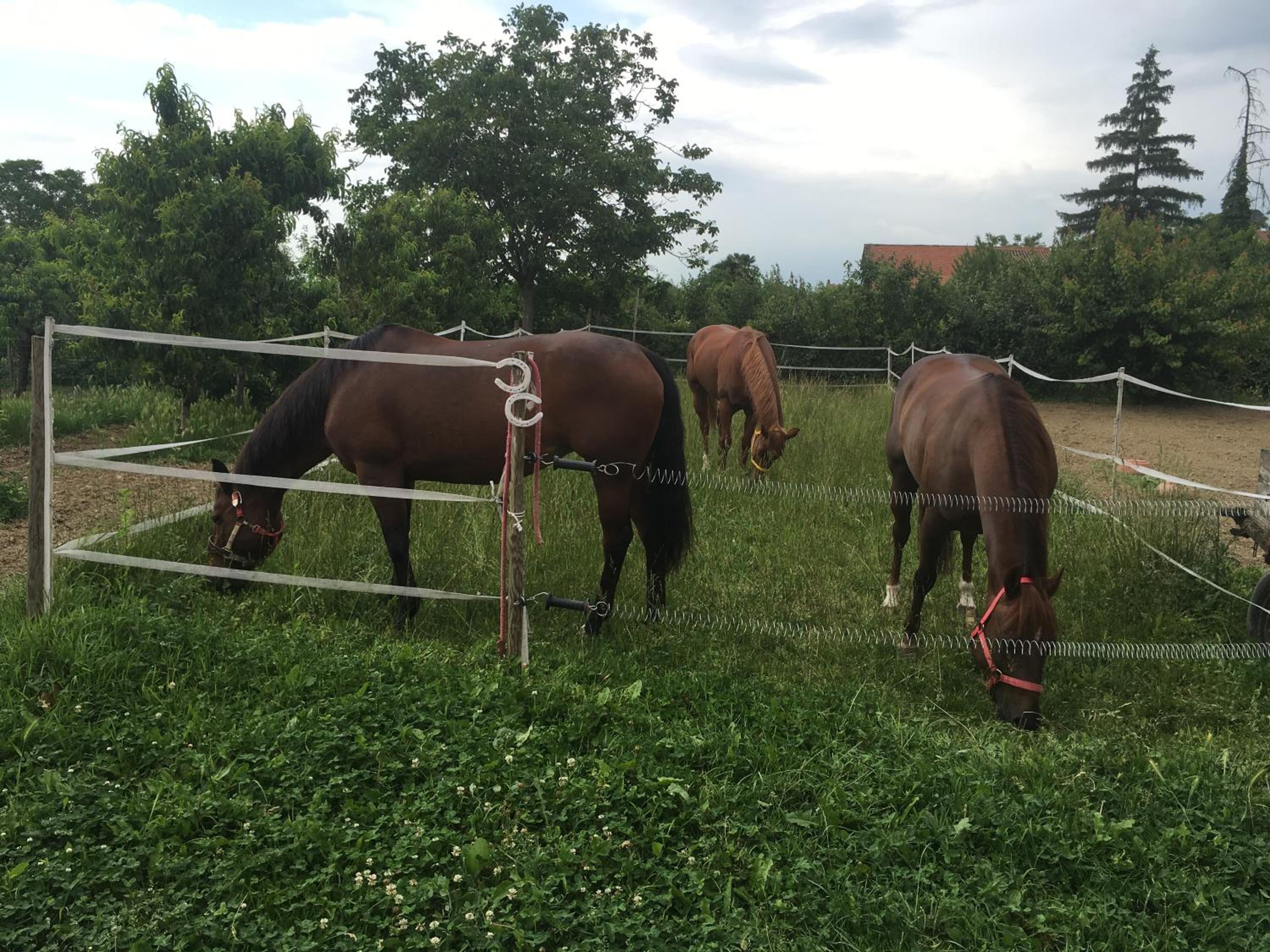 Felix House - Property Image 76